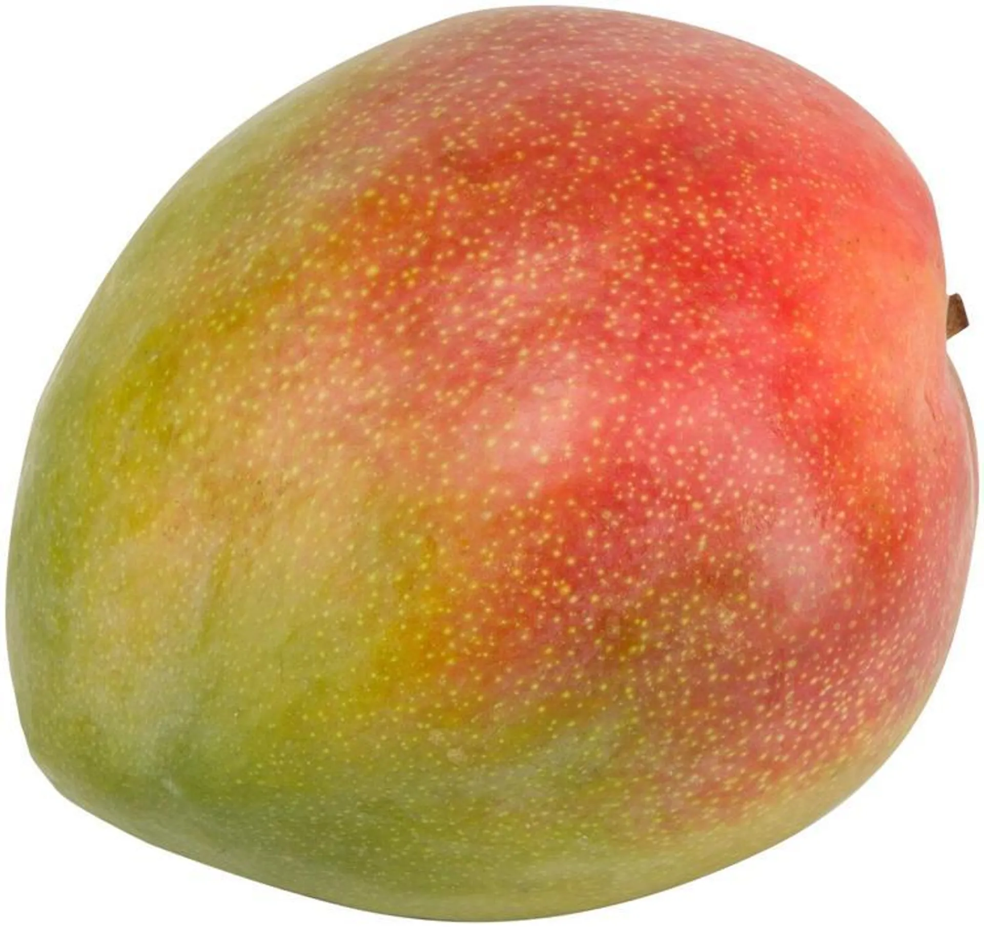 Mango kpl Keitt/Kent