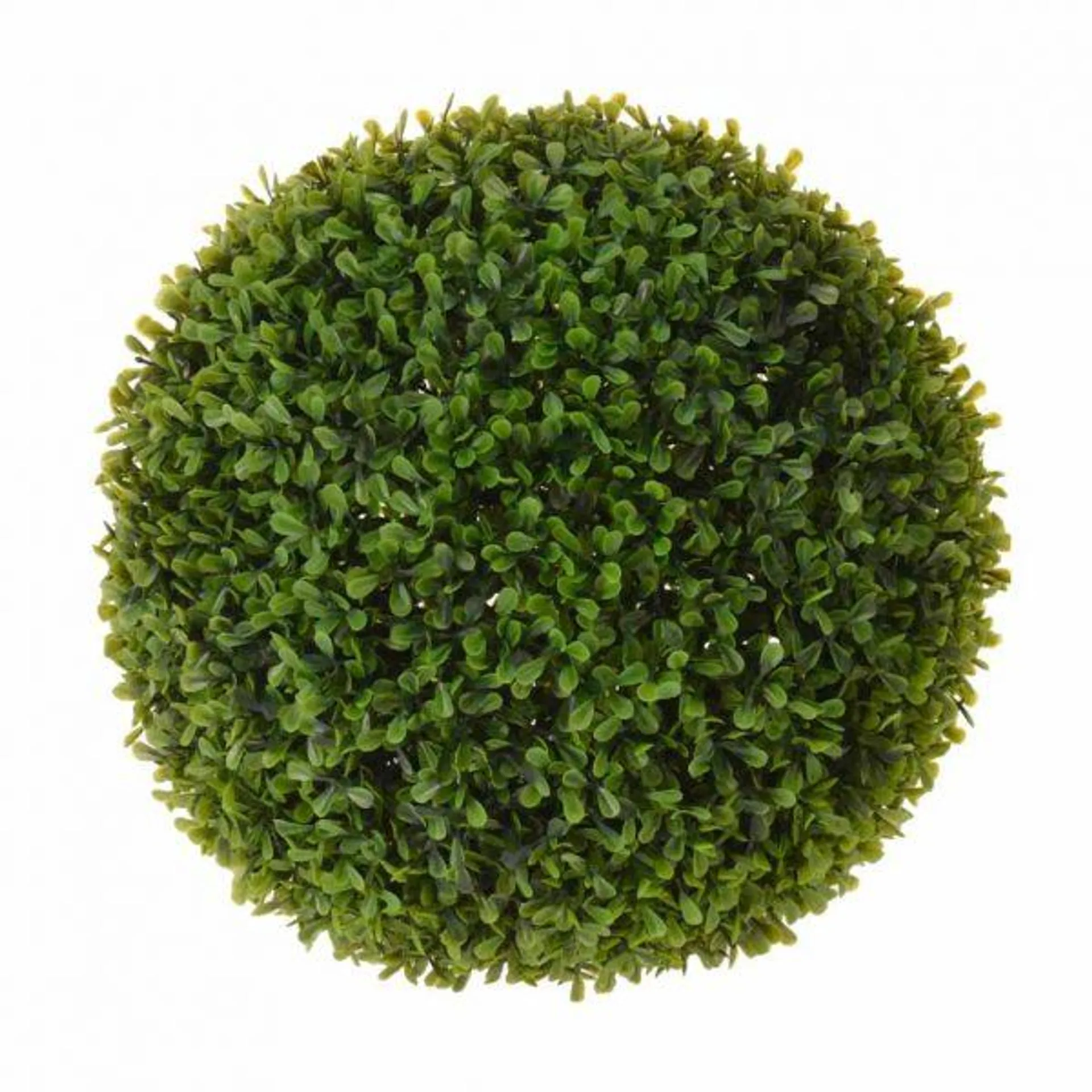 BUXUS VIHERPALLO