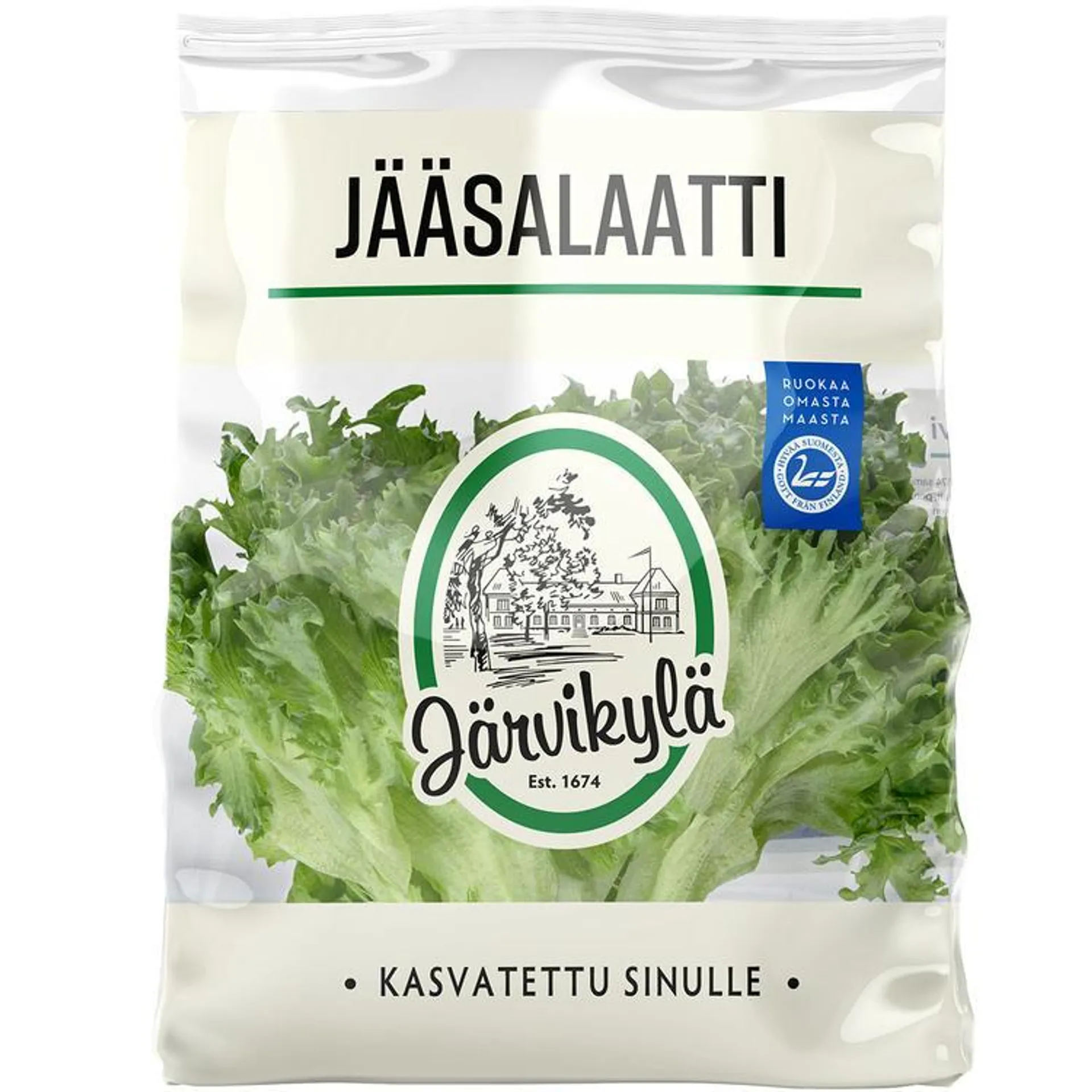 Järvikylä min100g Jääsalaatti pussi