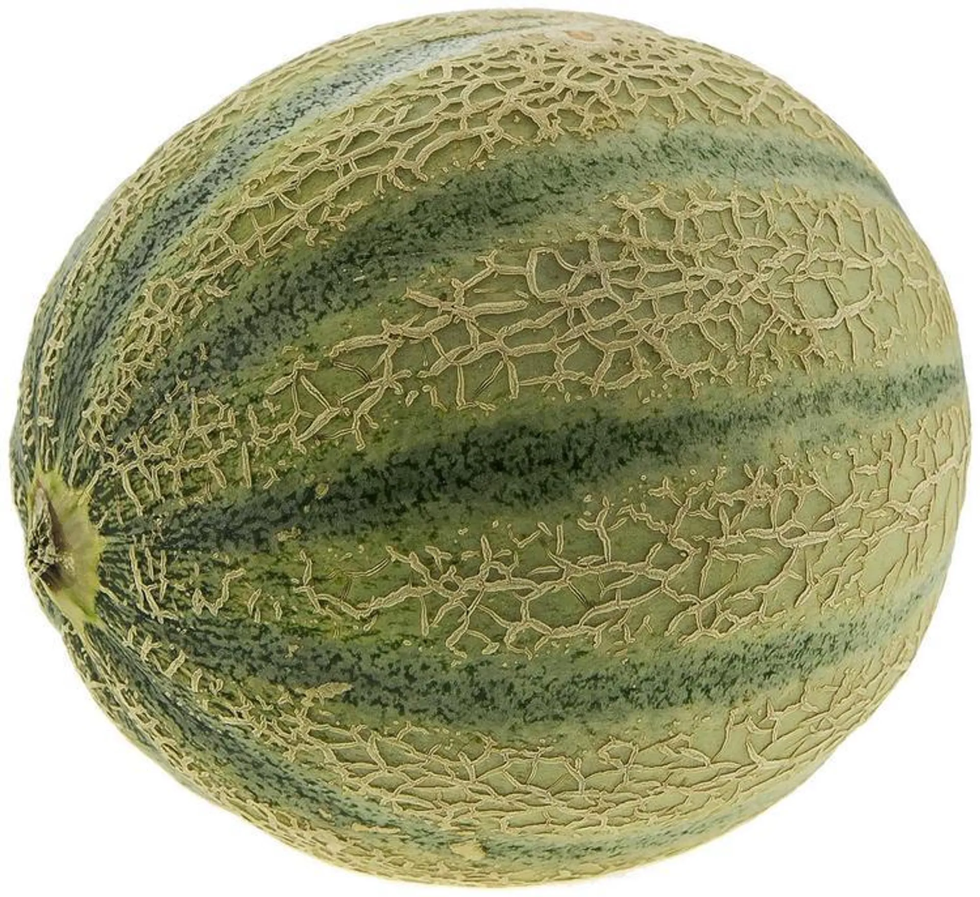 Cantaloupemeloni