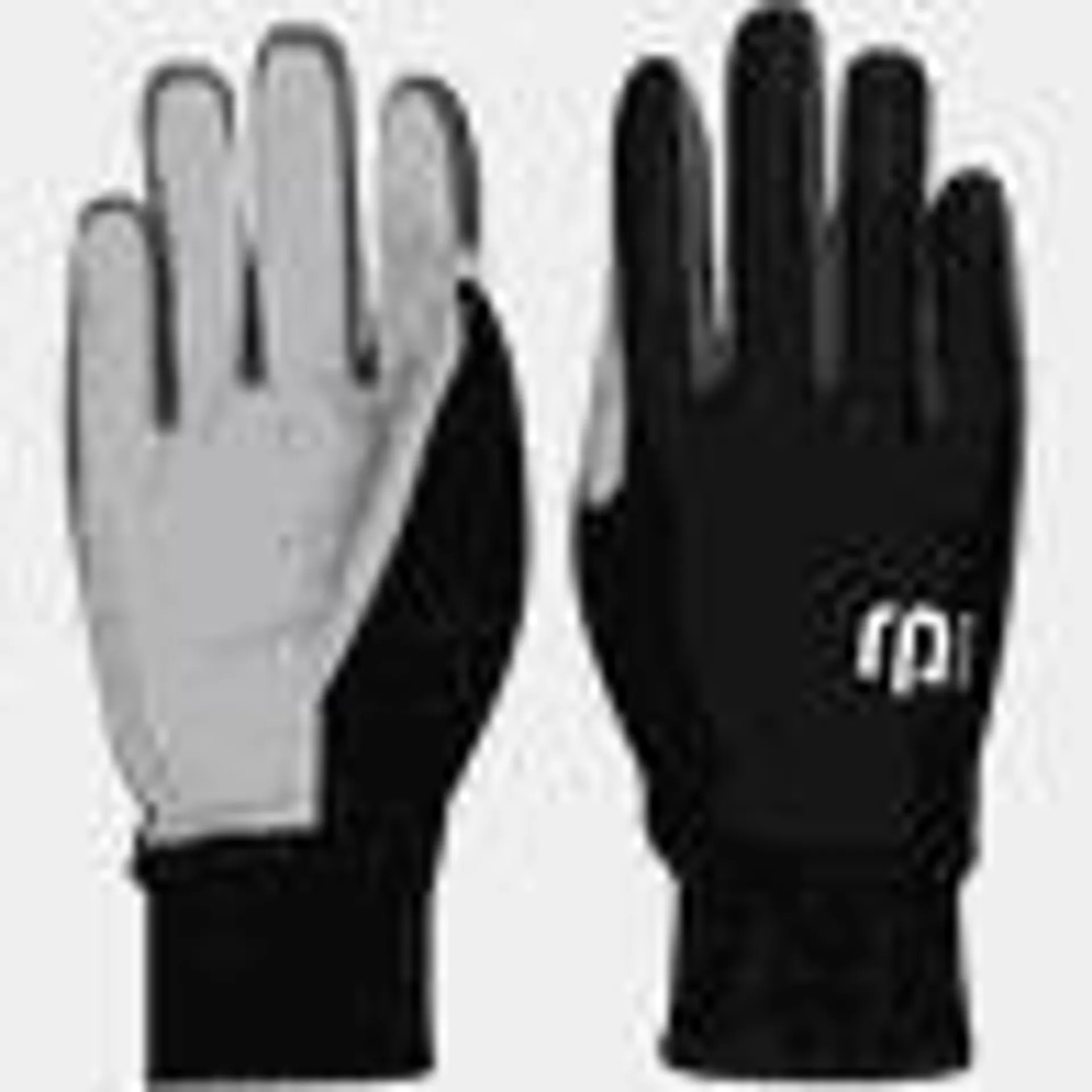 BD Glove Buffet 24/25, unisex hiihtohanskat