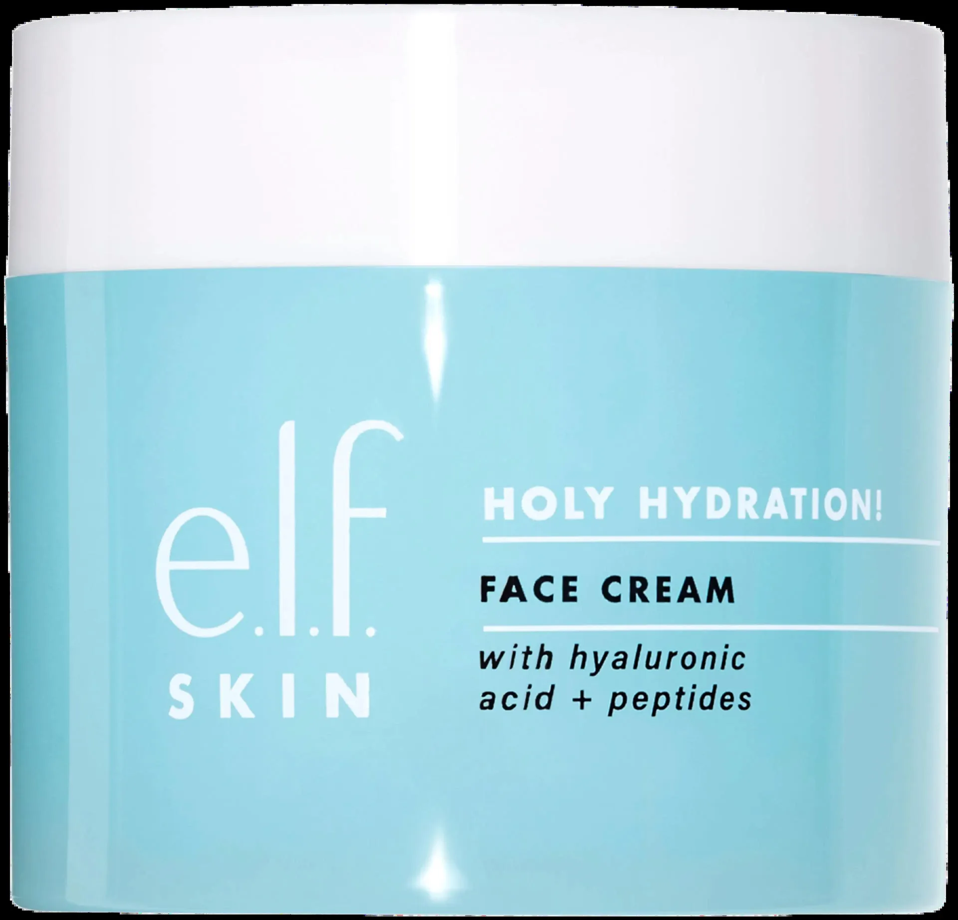 e.l.f cosmetics SKIN Holy Hydration! Face crem päivävoide 50 g