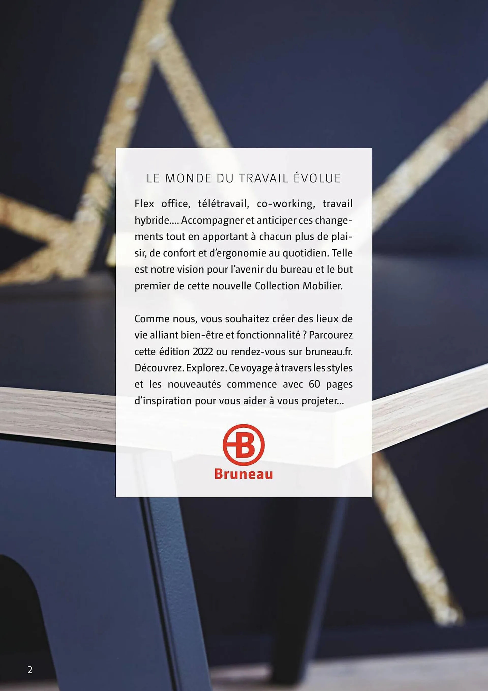 Catalogue Bruneau - 2