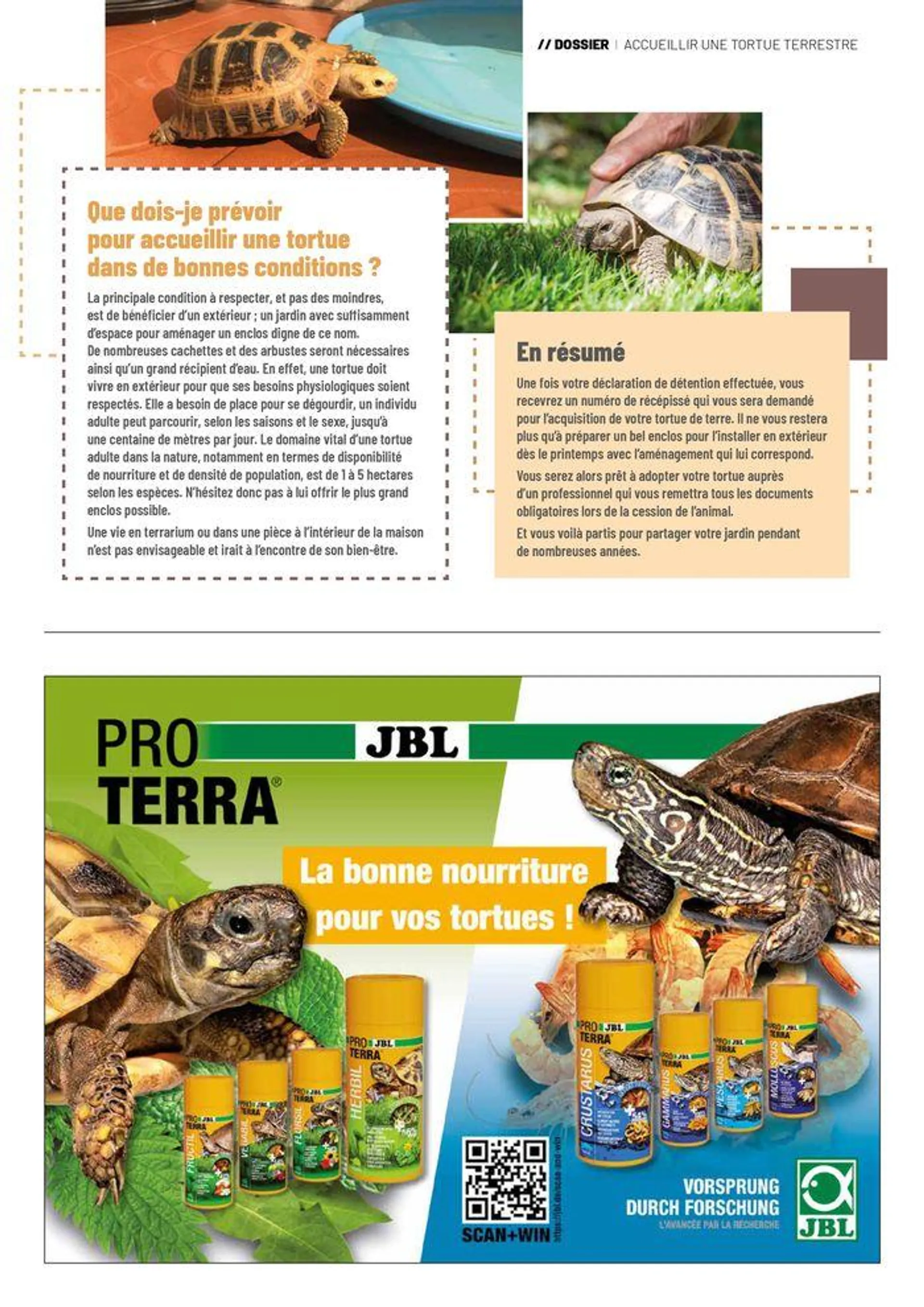 VillaVerde Animalerie 2024 du 18 juin au 31 décembre 2024 - Catalogue page 7