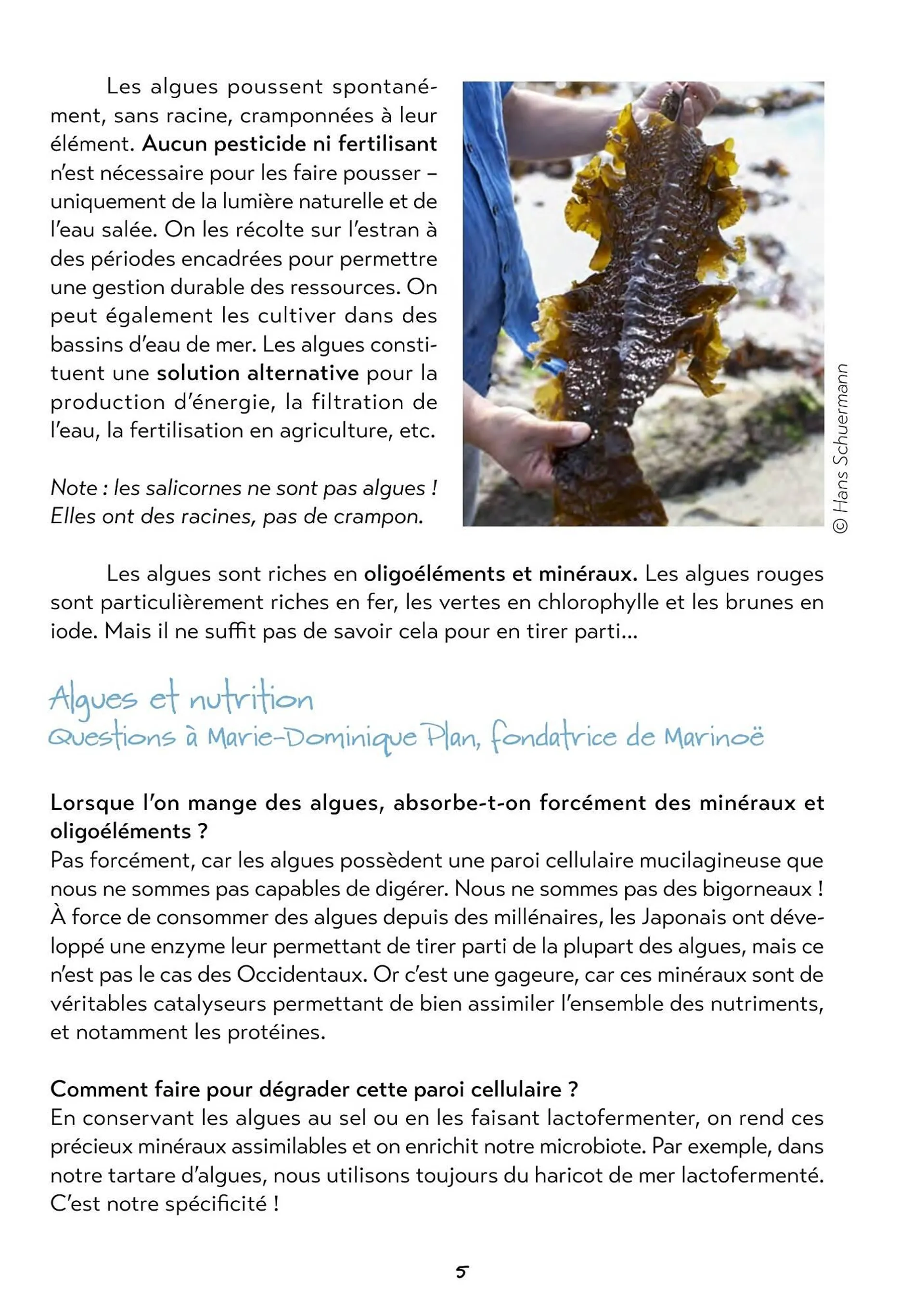 Catalogue Satoriz du 22 juillet au 31 août 2024 - Catalogue page 5