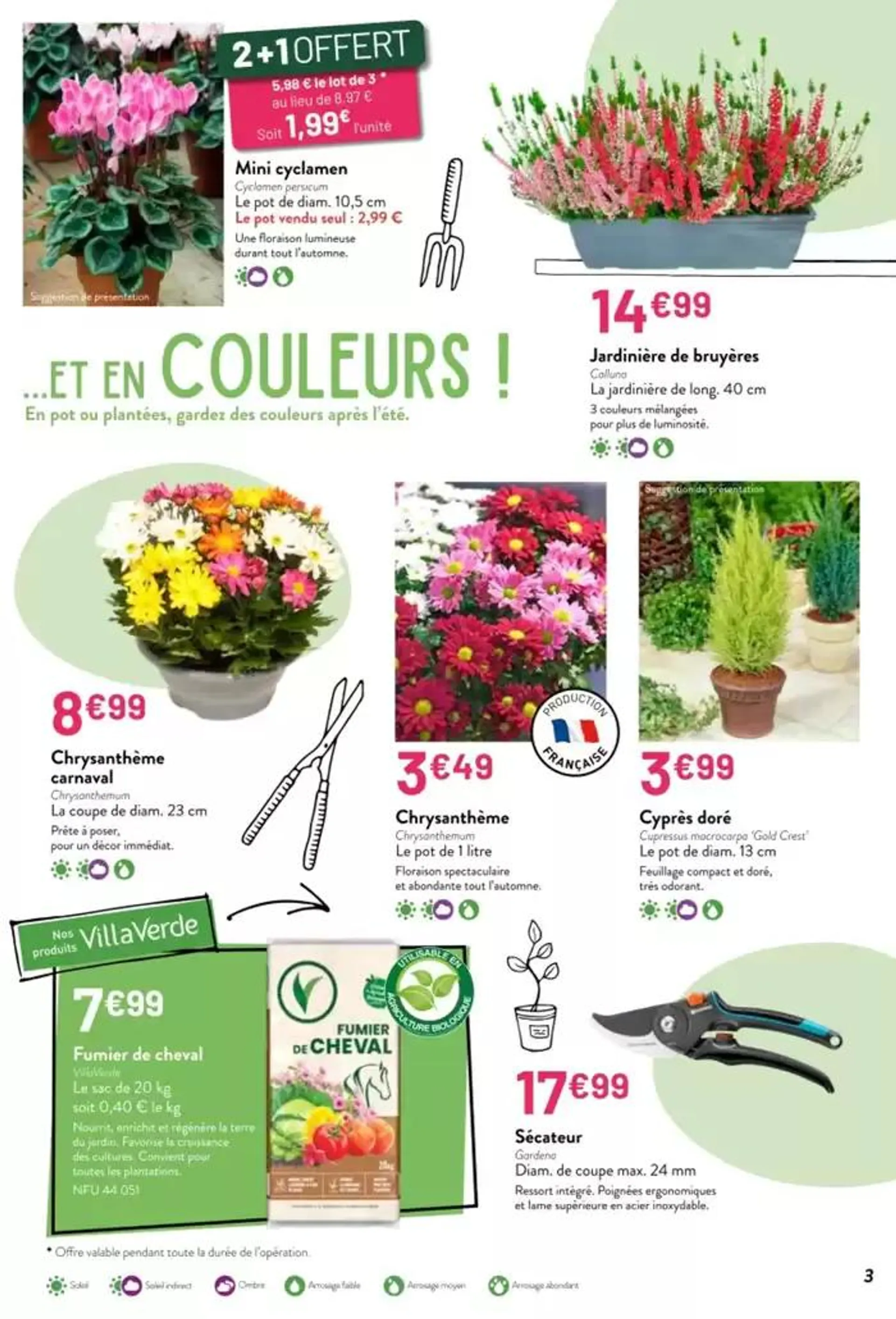 VillaVerde Automne hiver 2024 du 14 octobre au 1 novembre 2024 - Catalogue page 3