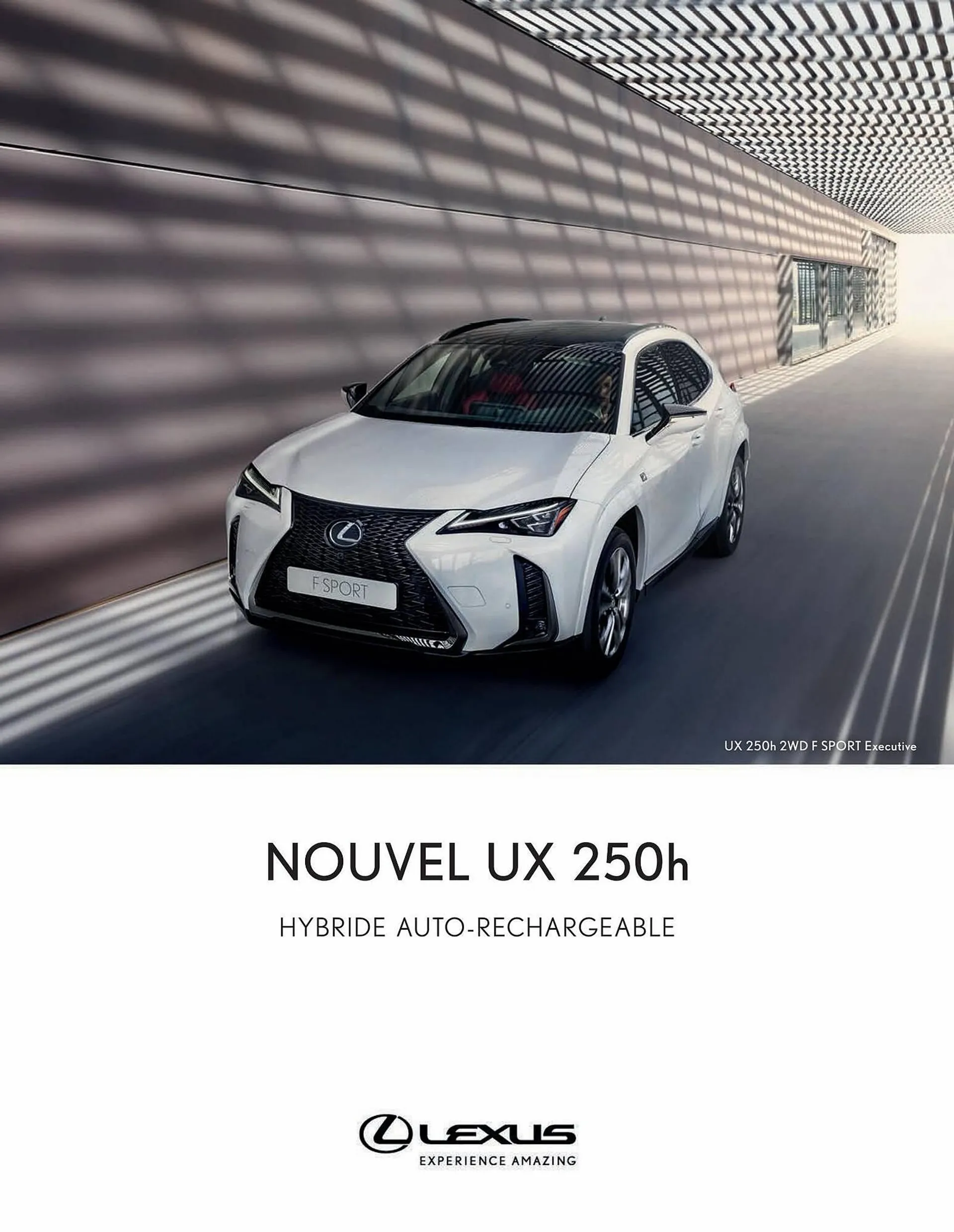 Catalogue Lexus - 1