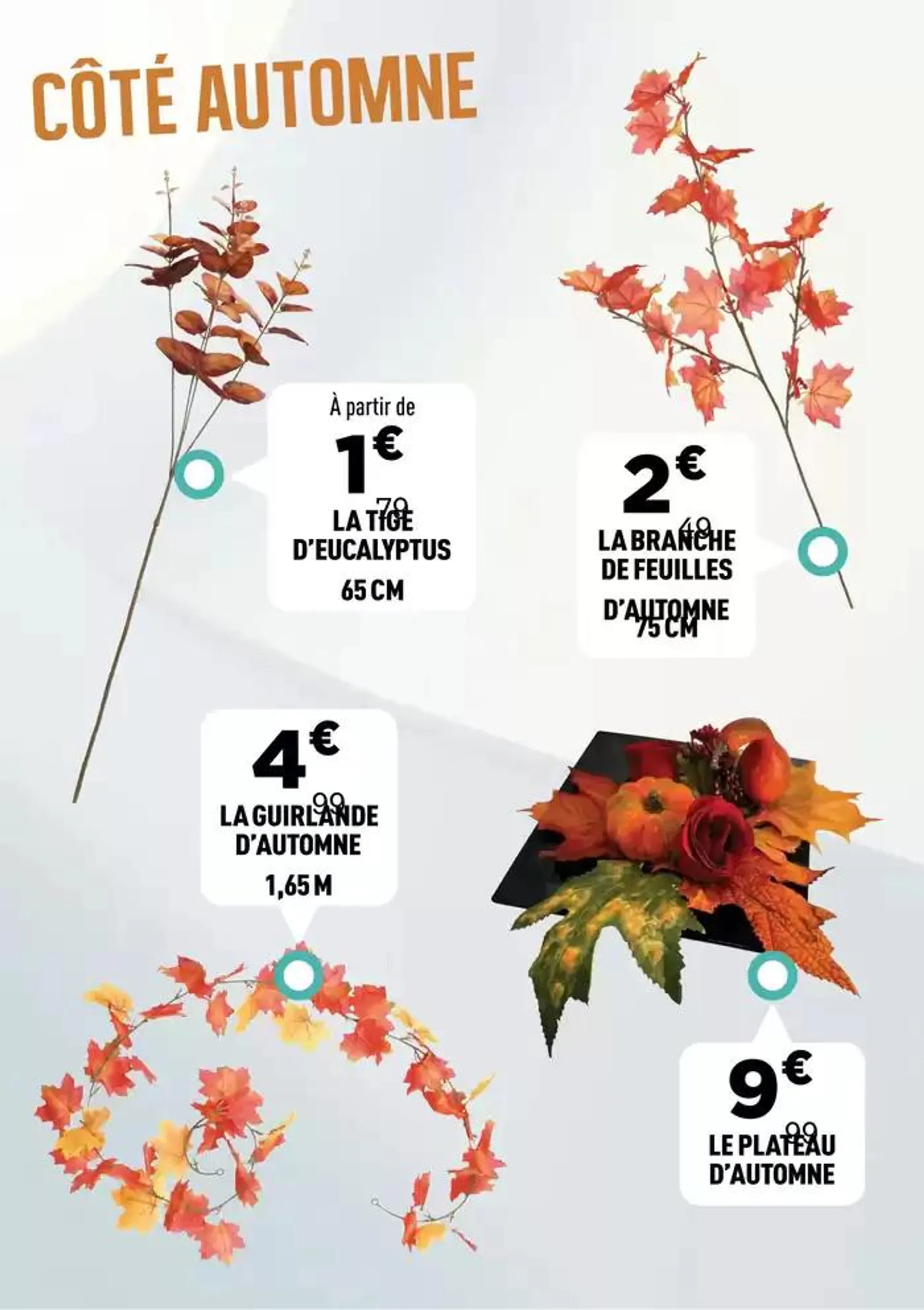 TOUSSAINT du 2 octobre au 13 octobre 2024 - Catalogue page 76