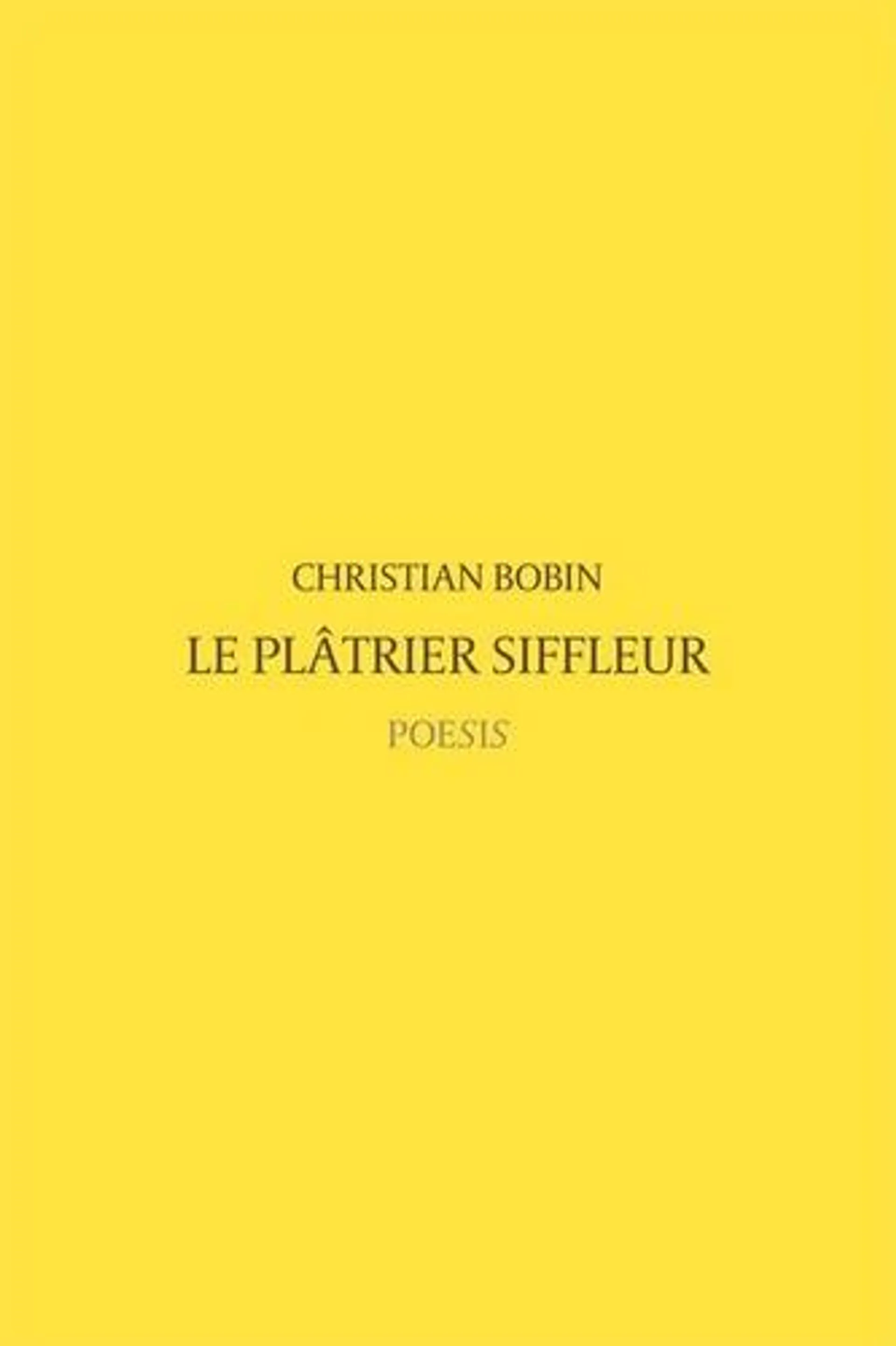 Le plâtrier siffleur - Poche