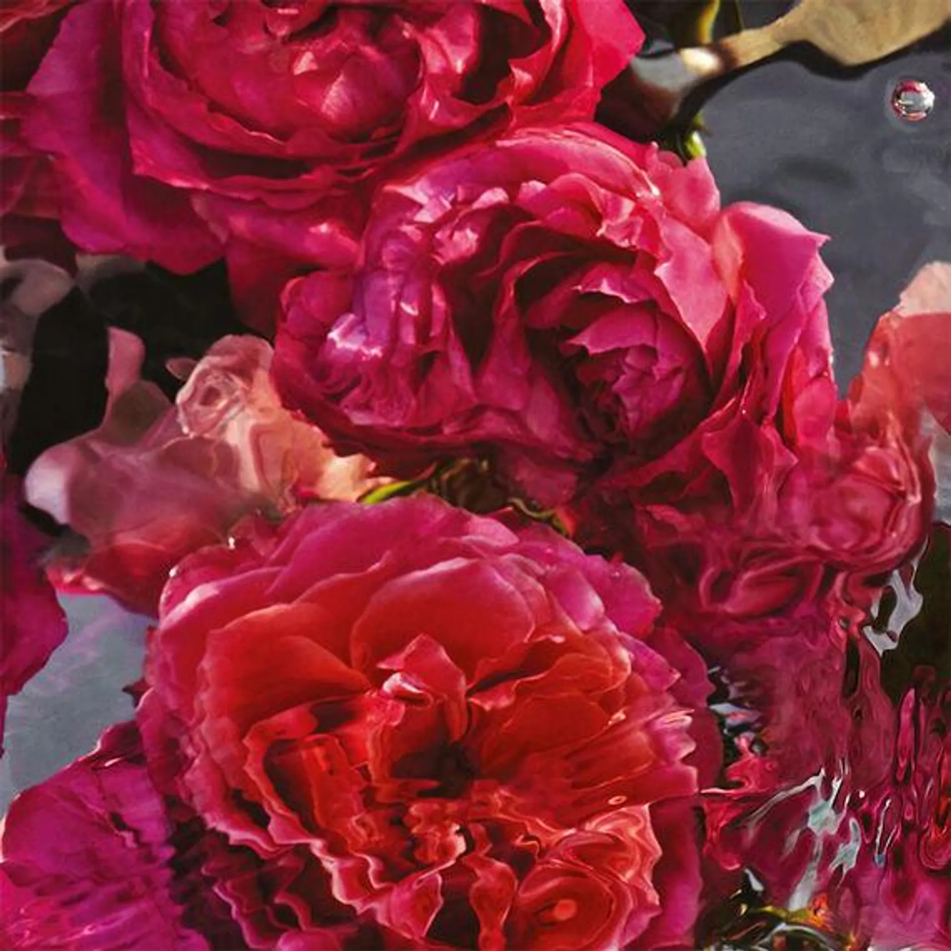 Rosa Rossa Forte - Eau de Parfum