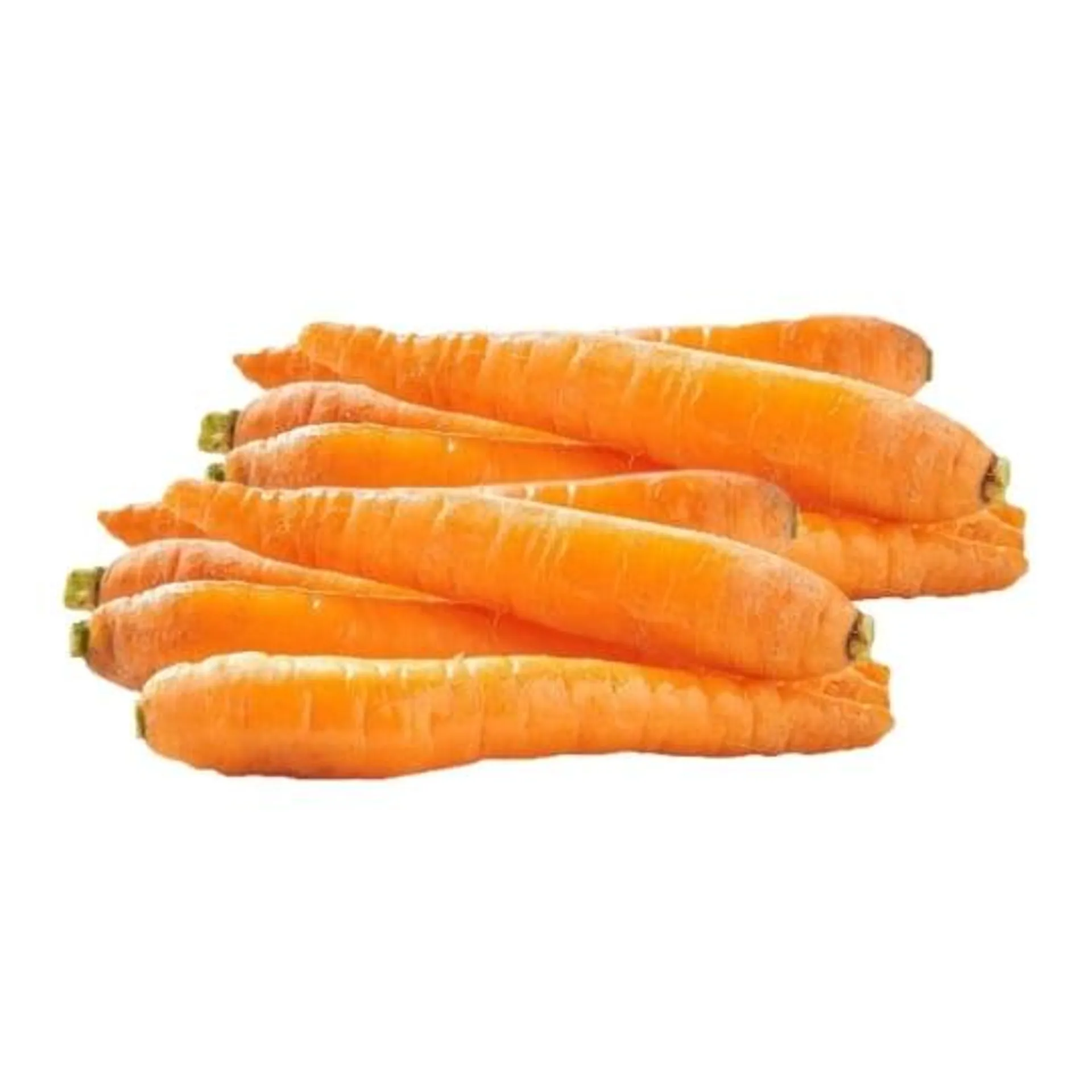 Carottes