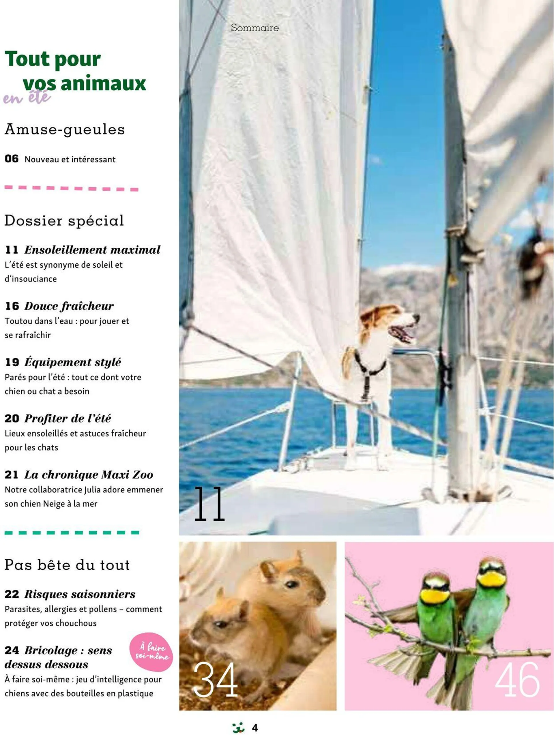 Maxi ZOO Catalogue actuel du 15 mai au 29 mai 2024 - Catalogue page 4