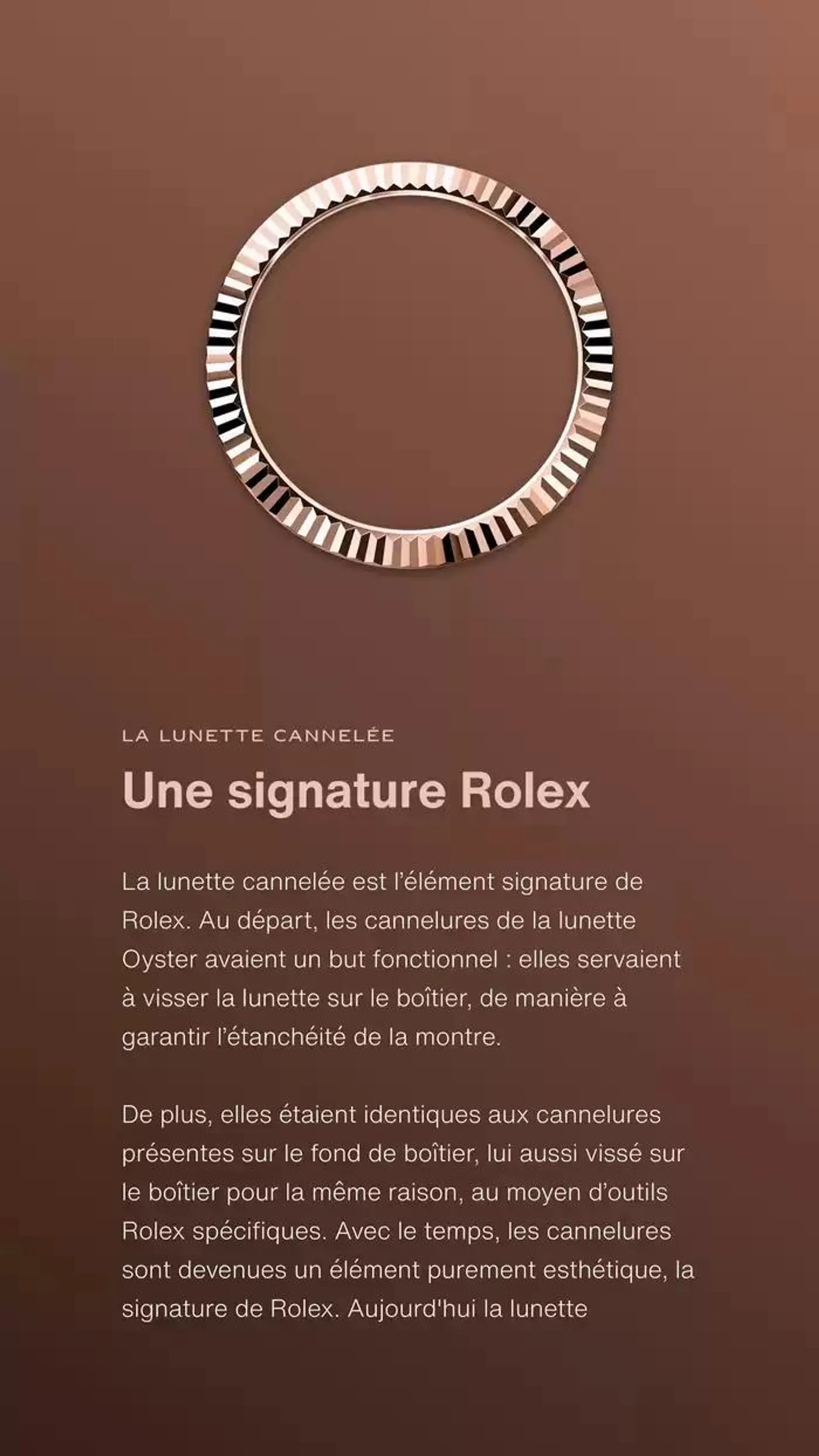 Rolex Sky Dweller du 3 octobre au 3 octobre 2025 - Catalogue page 5