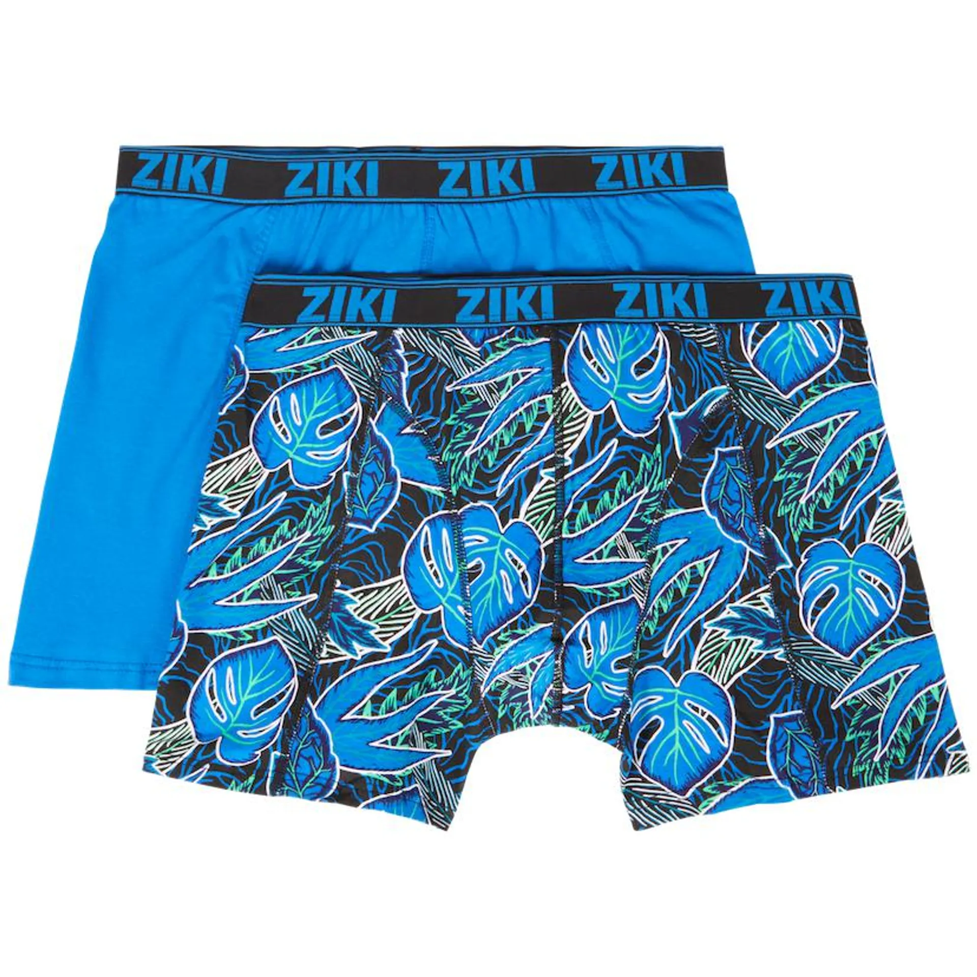 Boxers Ziki