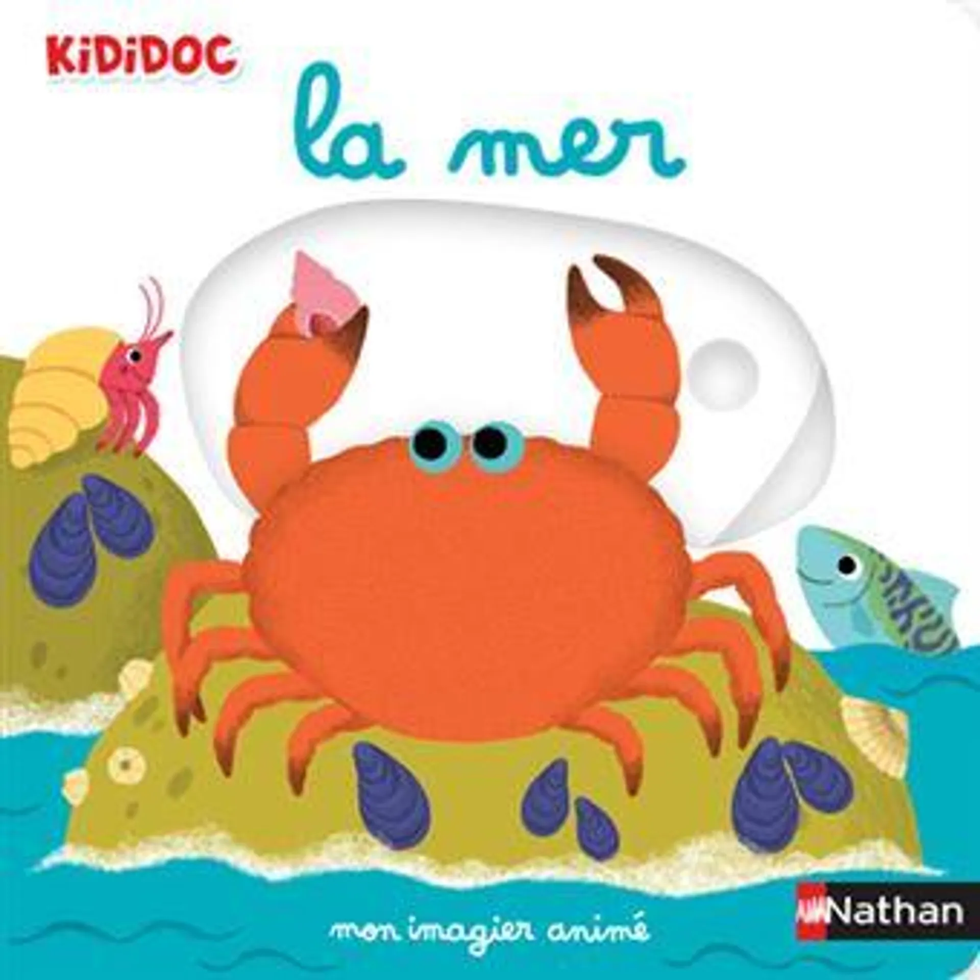 Kididoc - : Mon imagier animé la mer