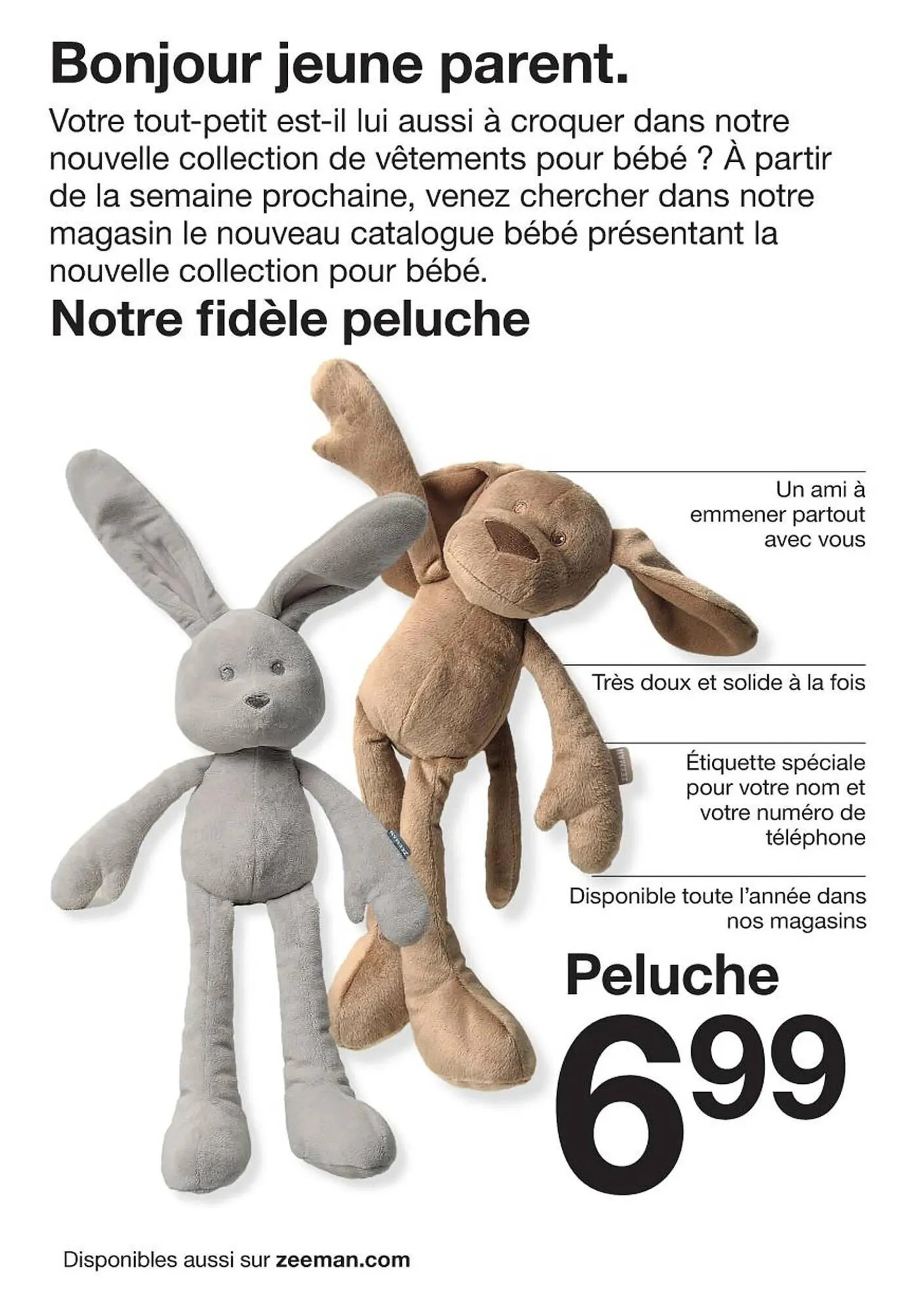 Catalogue Zeeman - 2