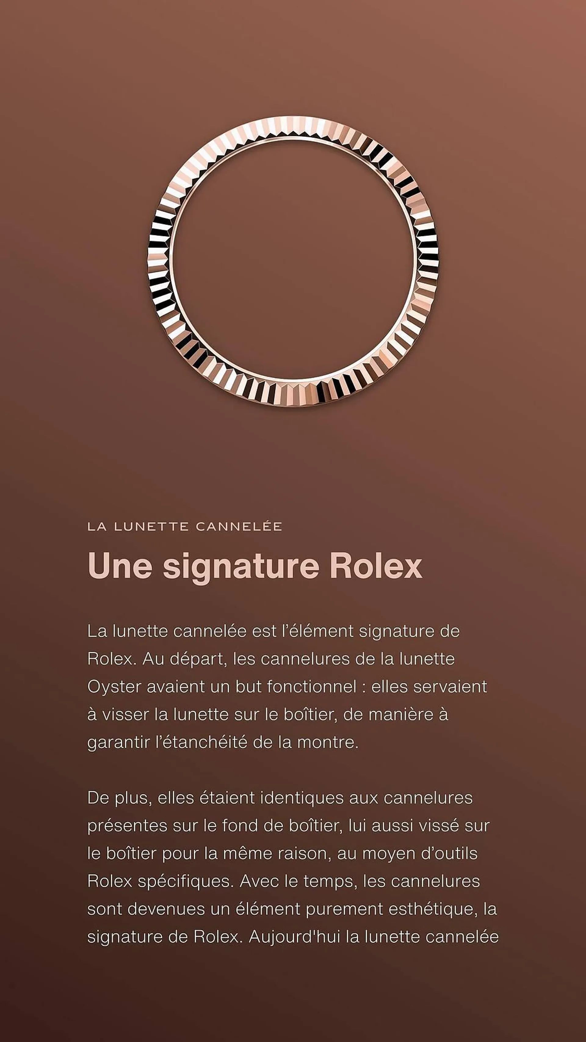 Catalogue Rolex du 15 avril au 28 décembre 2024 - Catalogue page 5