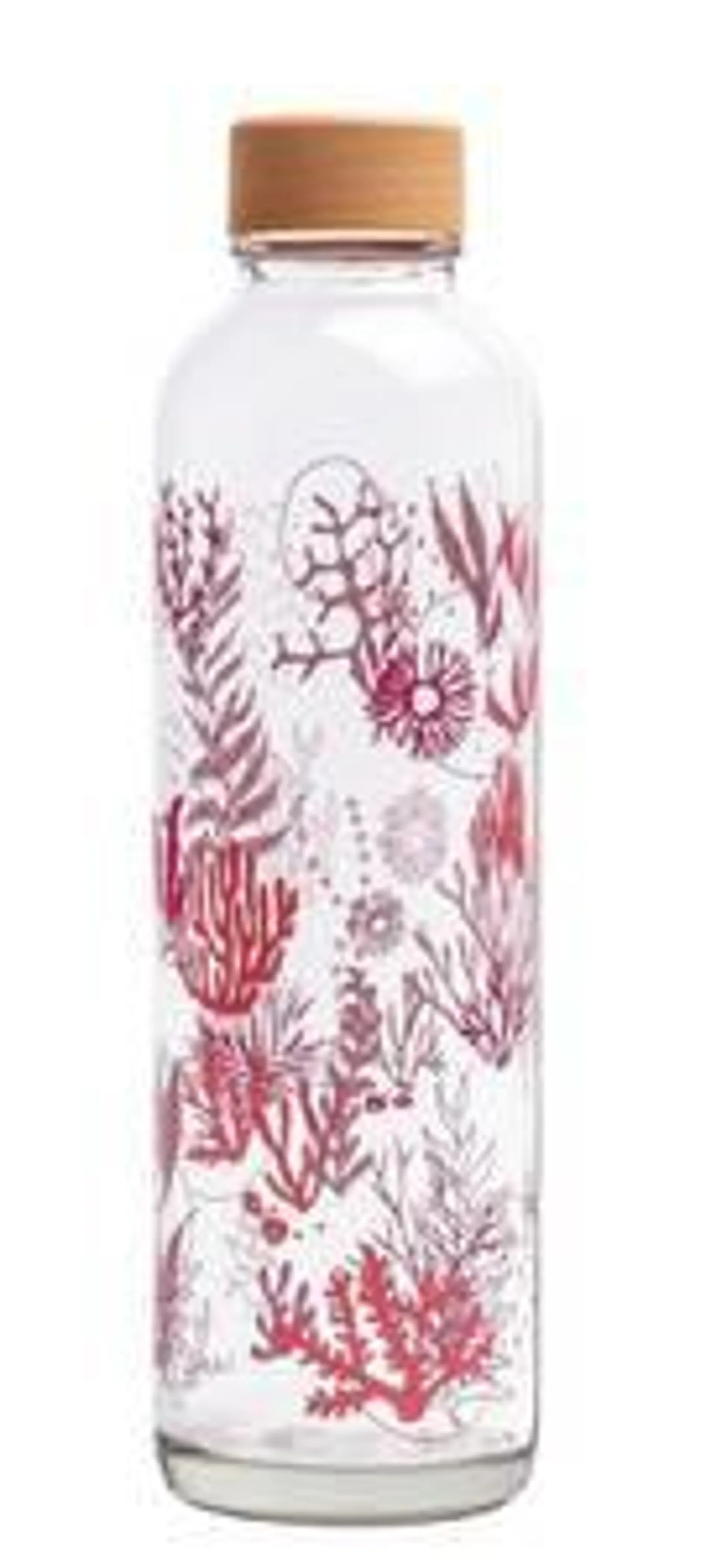 Bouteille 700ml Coral Reef - CARRY Bottl