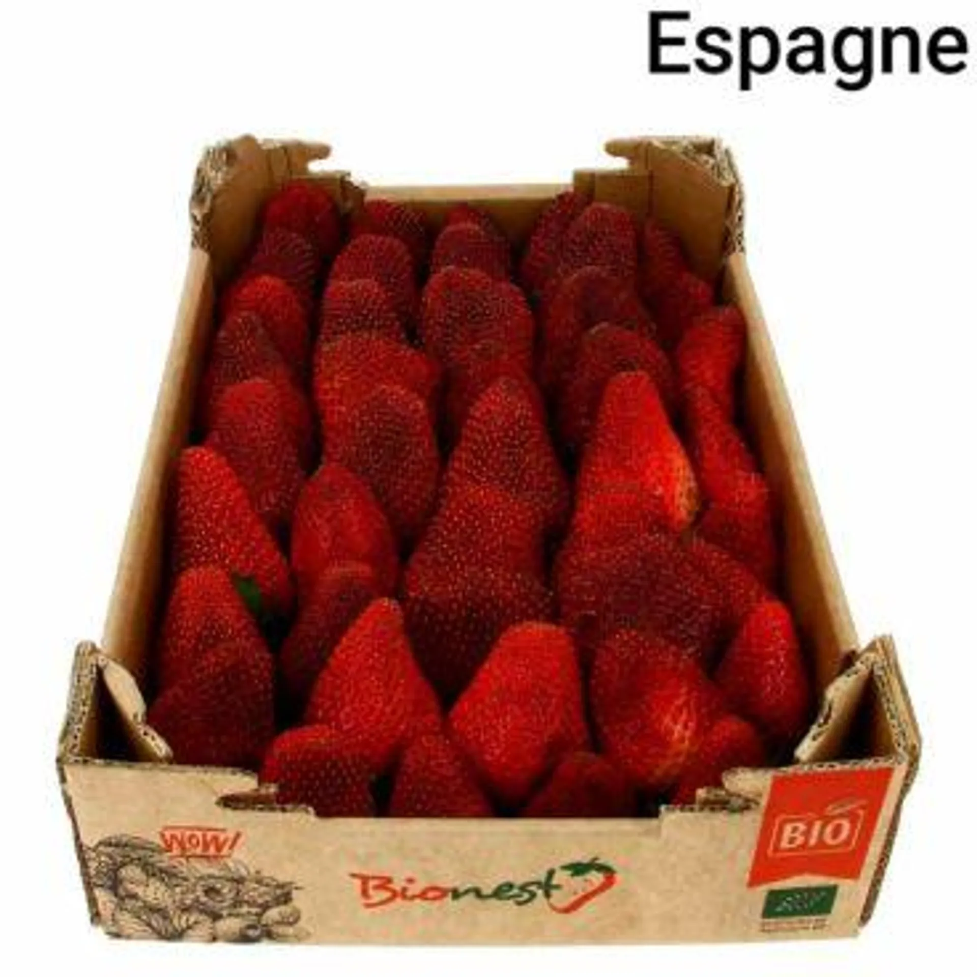 Fraise Plateau 1kg Bio