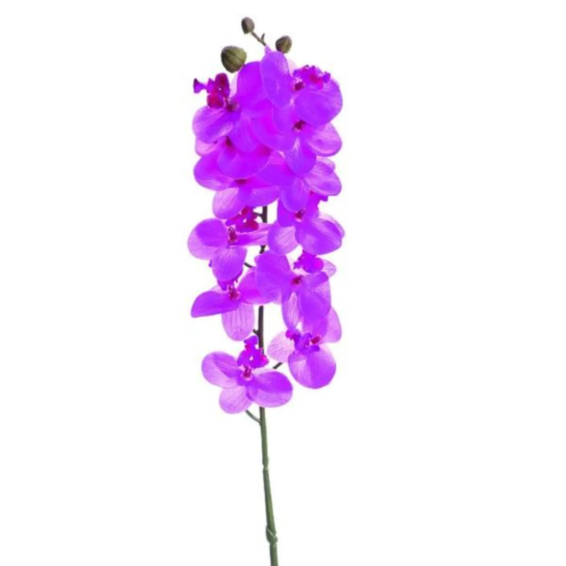 Tige orchidée 32,5 CM