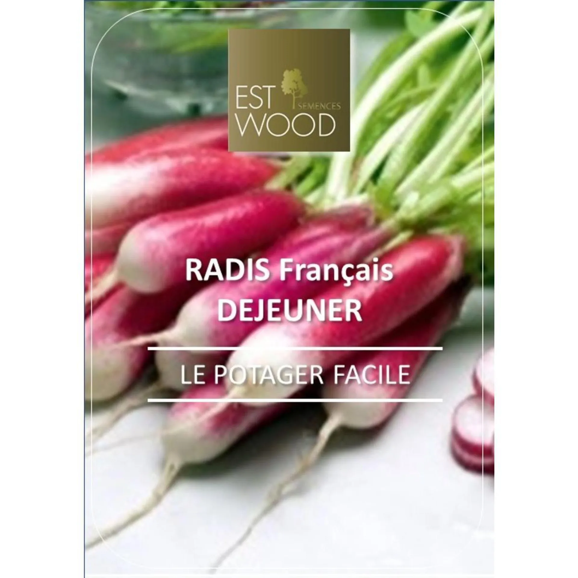 Semence de radis français à planter - 1 sachet