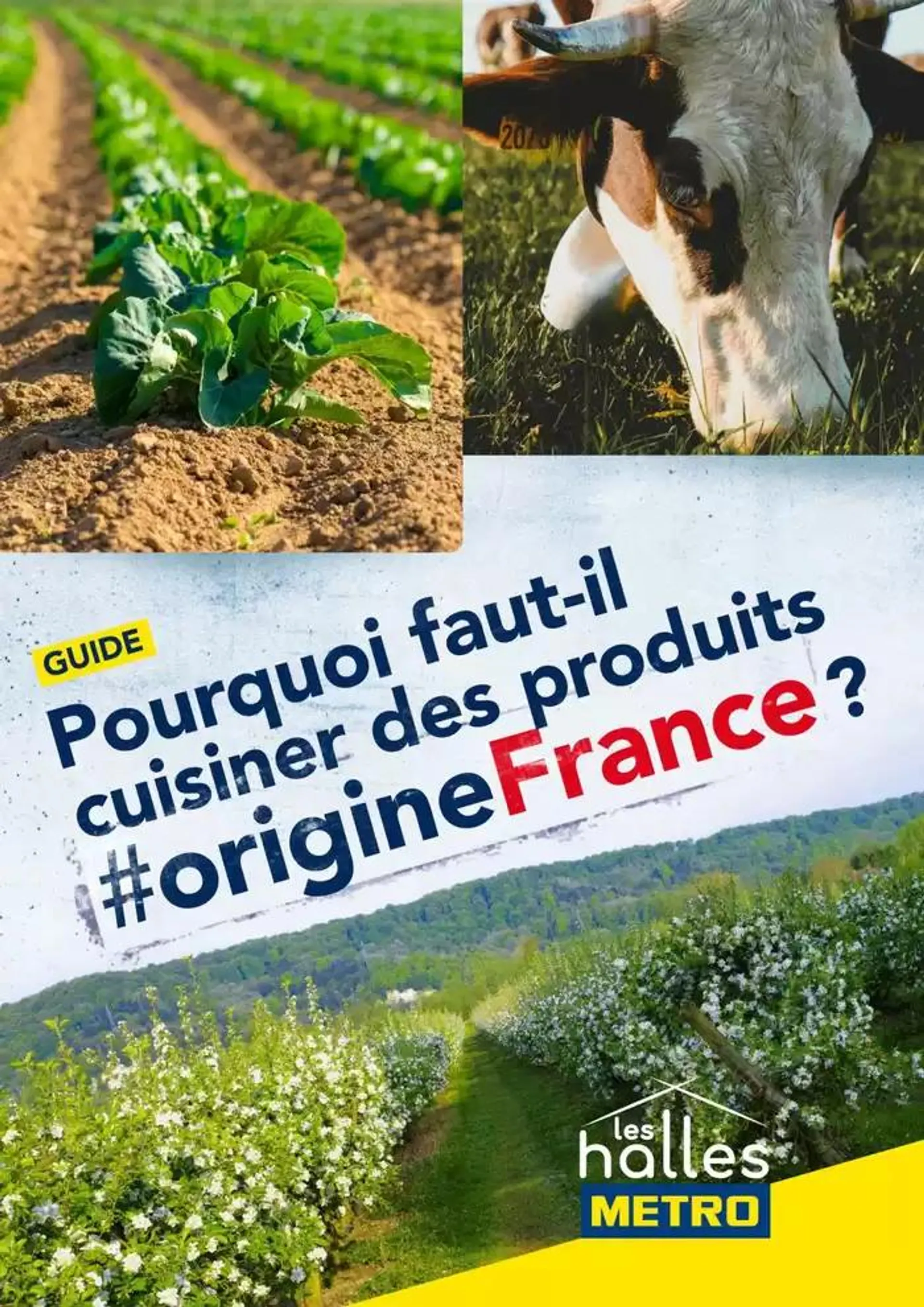 Metro Guide Origine France du 26 février au 31 décembre 2025 - Catalogue page 1