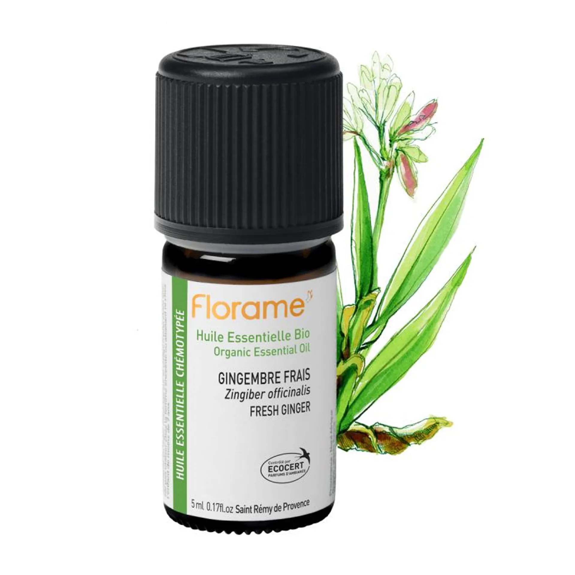 Huile Essentielle de Gingembre Frais Biologique