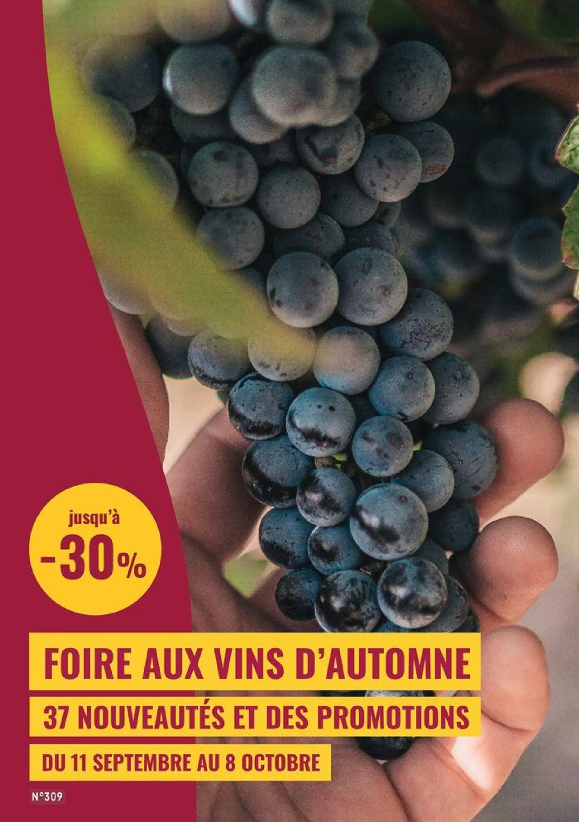 FOIRE AUX VINS D’AUTOMNE - 1