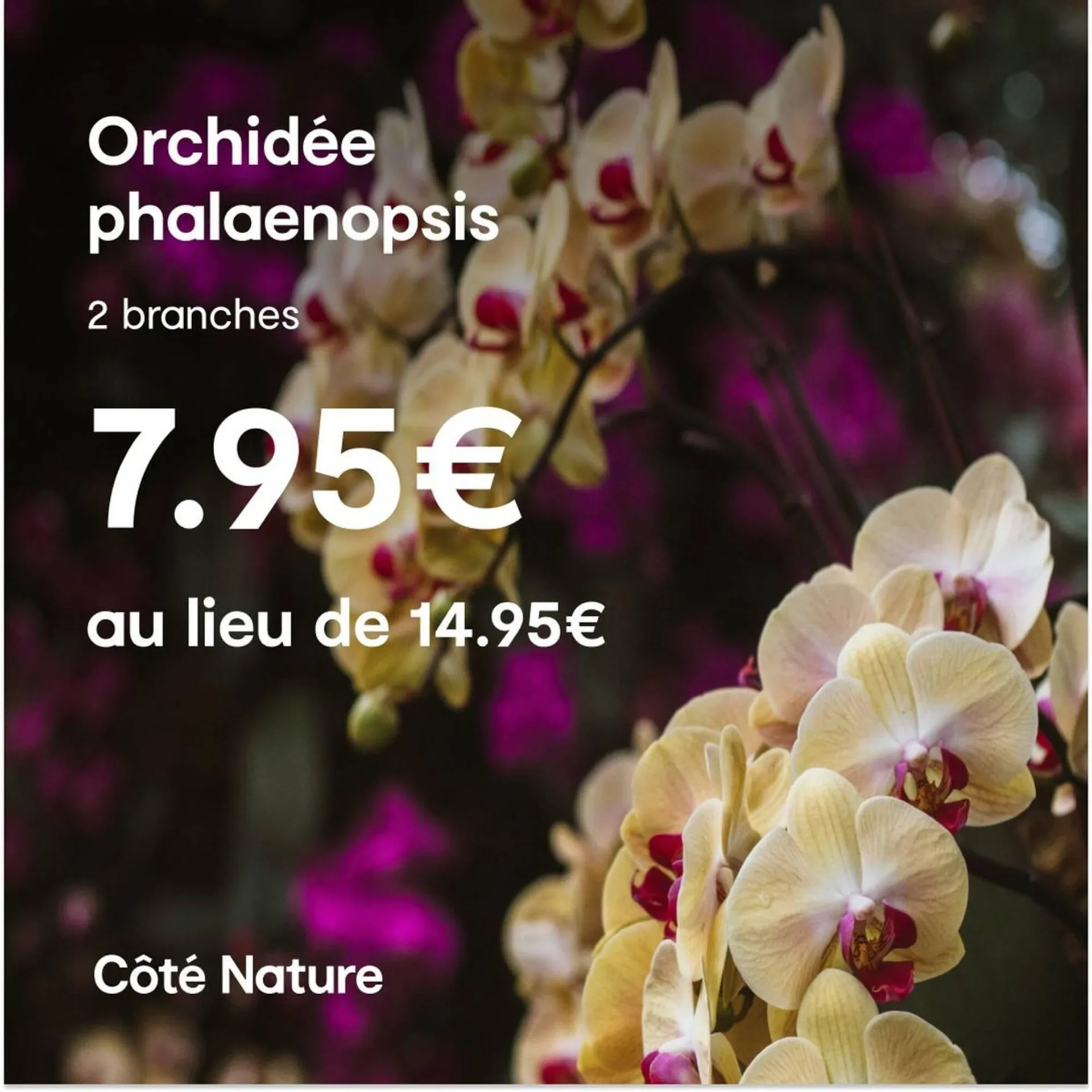 Catalogue Côté Nature - 1