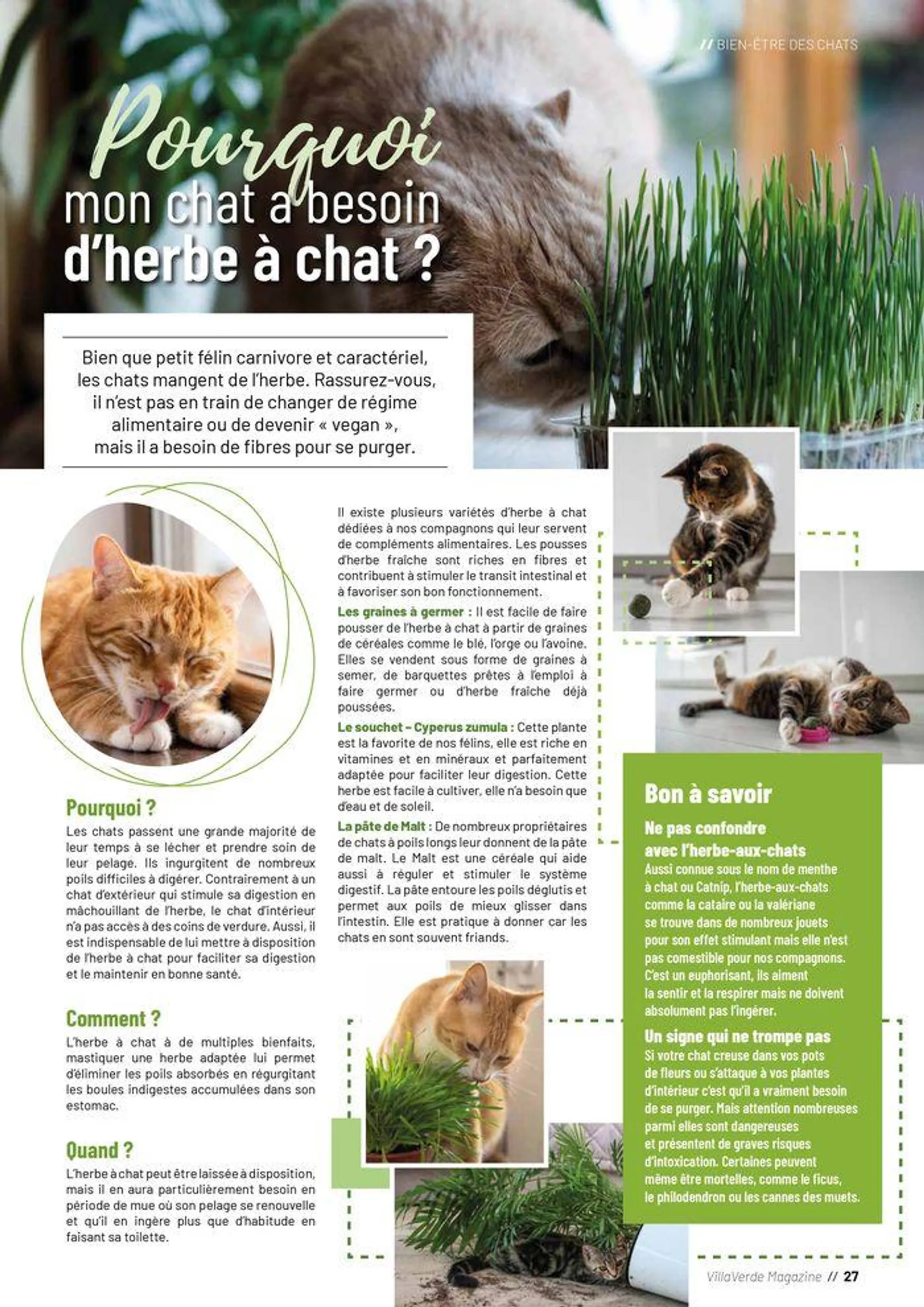 VillaVerde Animalerie 2024 du 18 juin au 31 décembre 2024 - Catalogue page 27