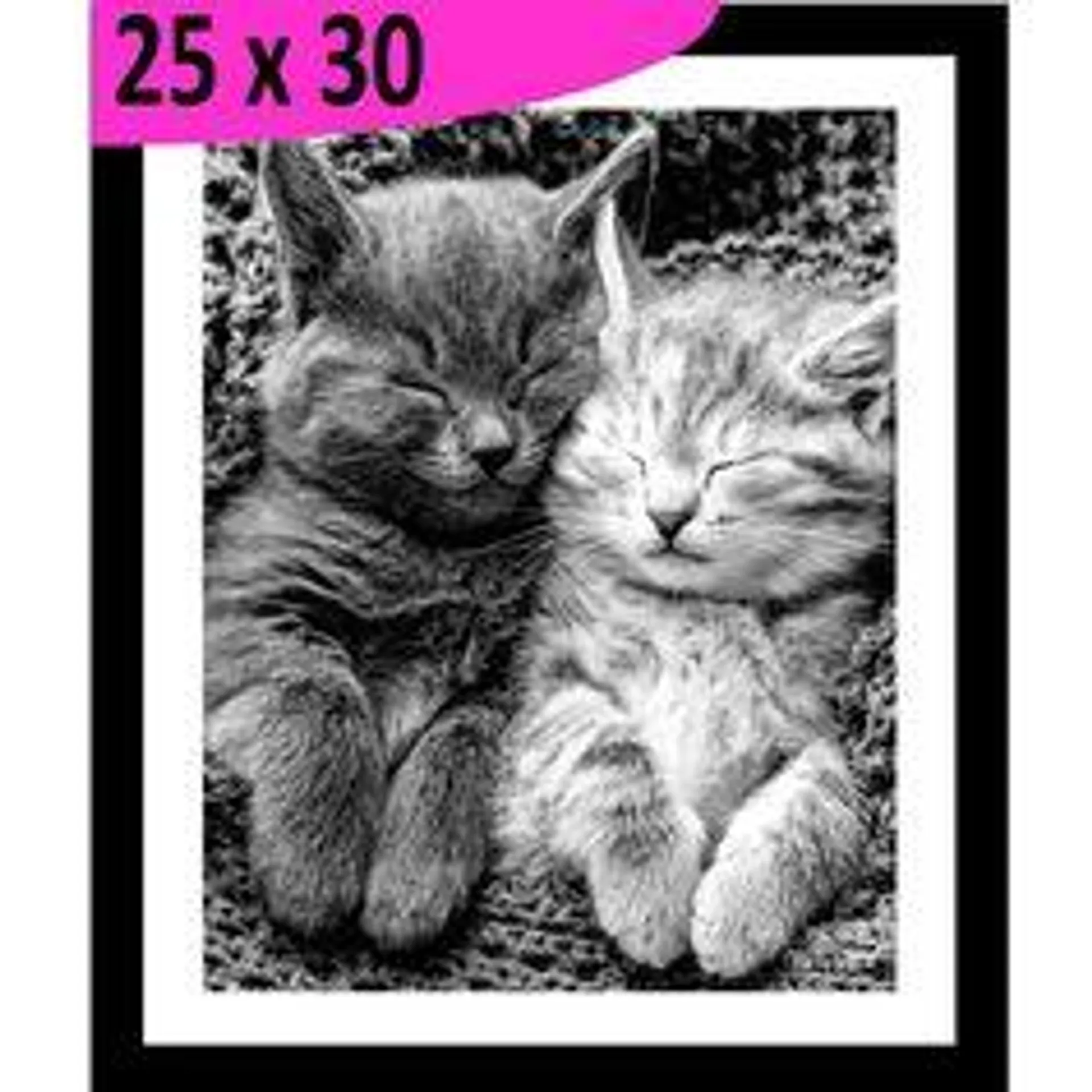 Tableau photo CHATONS cadre noir 25x30cm