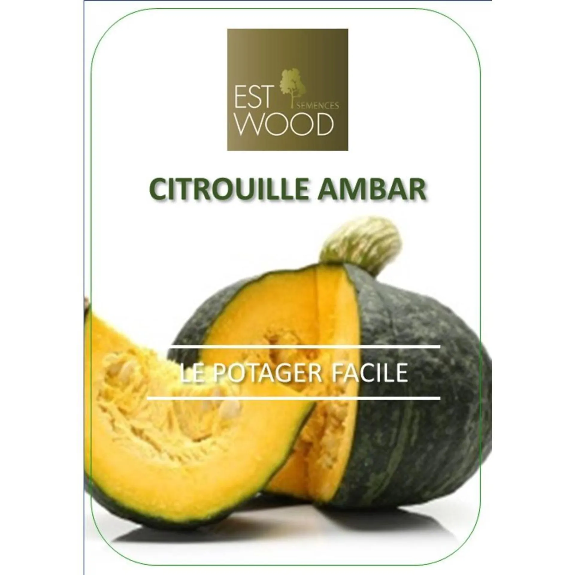 Semence de citrouille Ambar à planter - 1 sachet