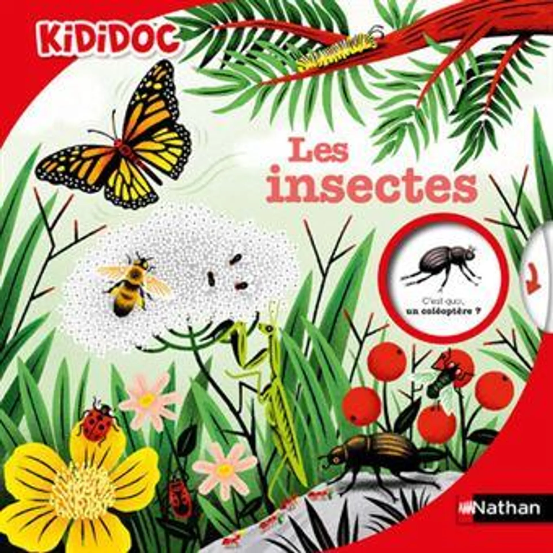 Kididoc - Tome 47 : Les Insectes