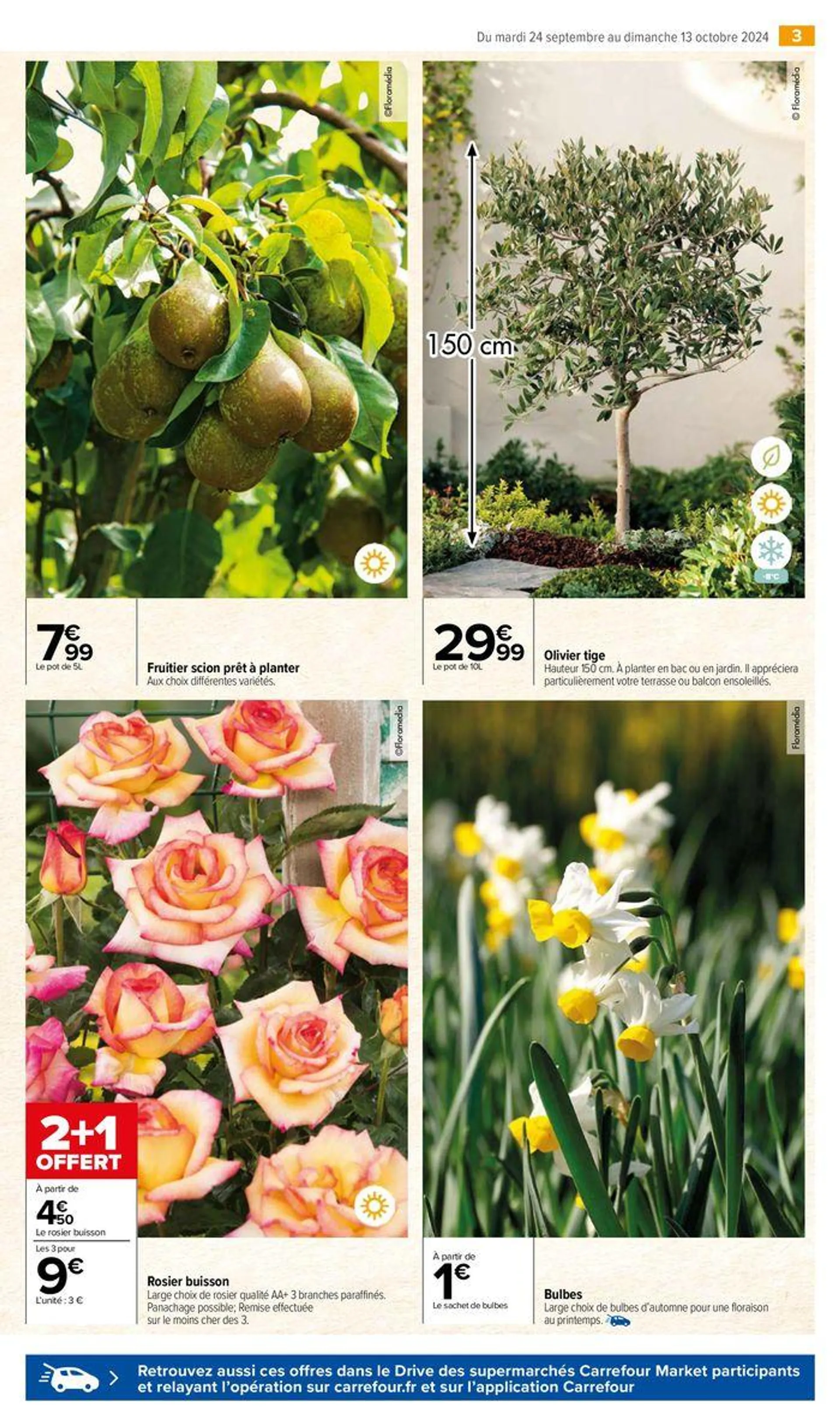 BRICO & JARDIN AUTOMNE du 24 septembre au 13 octobre 2024 - Catalogue page 5