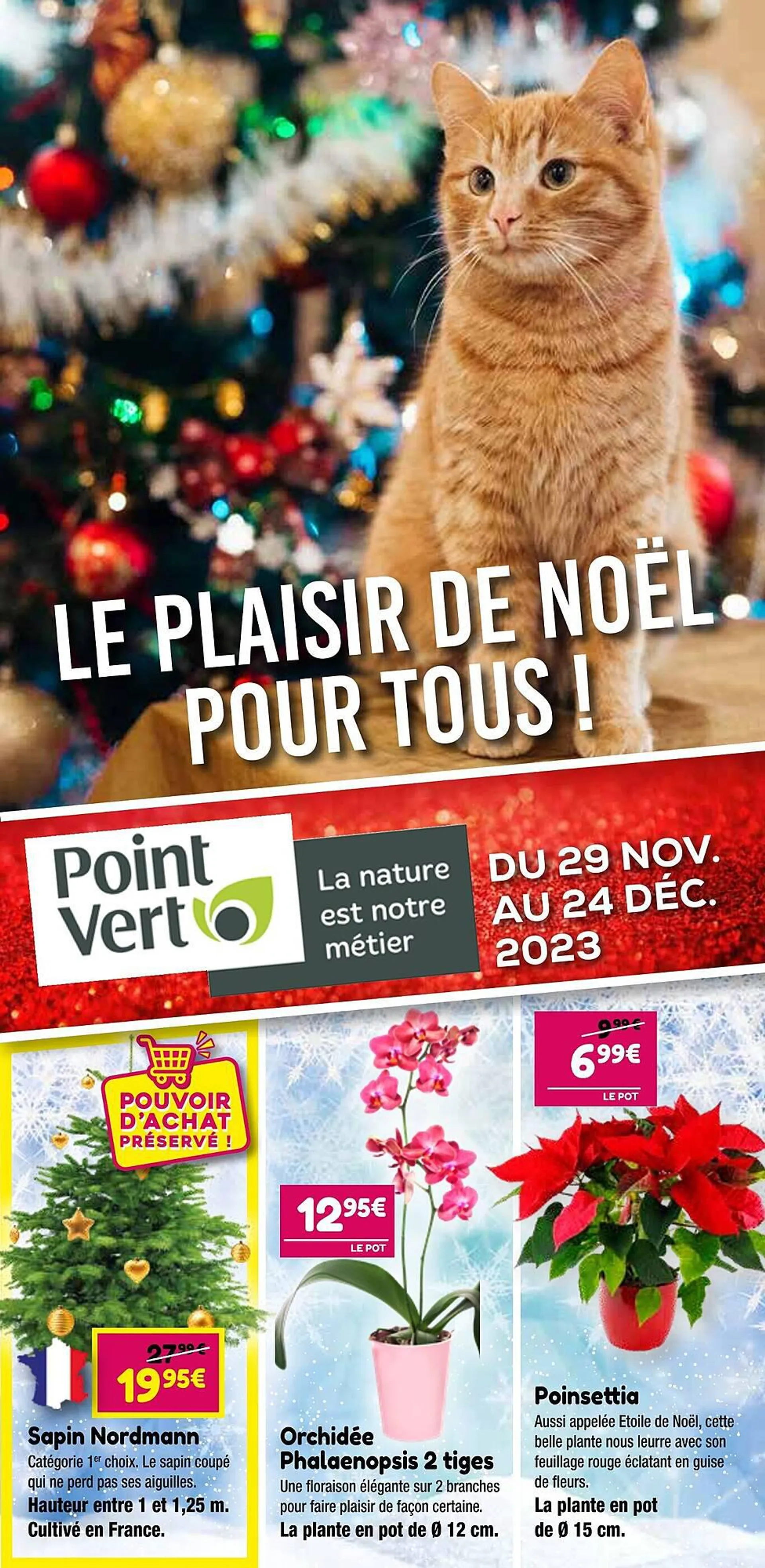 Catalogue Point Vert