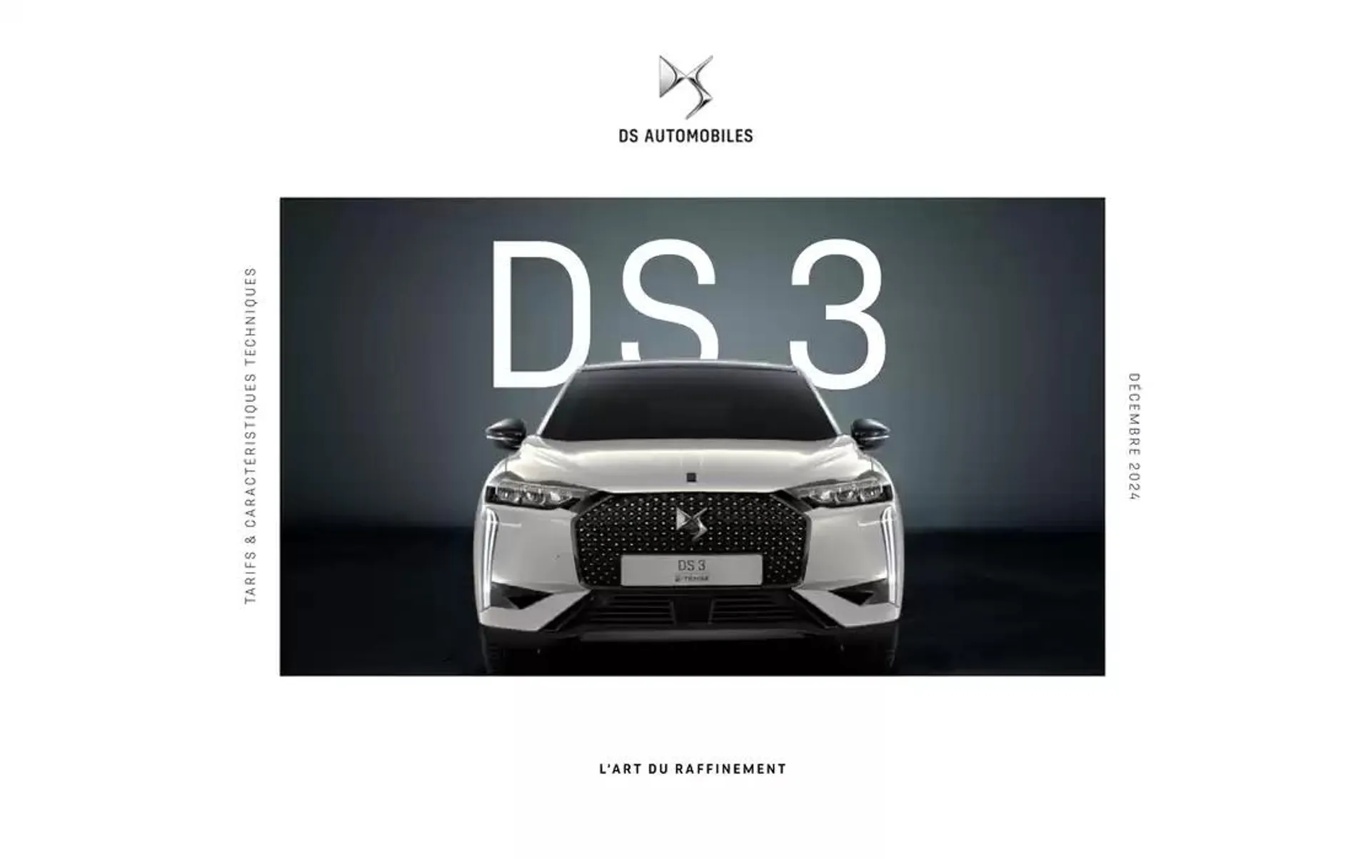 DS 3 - 1