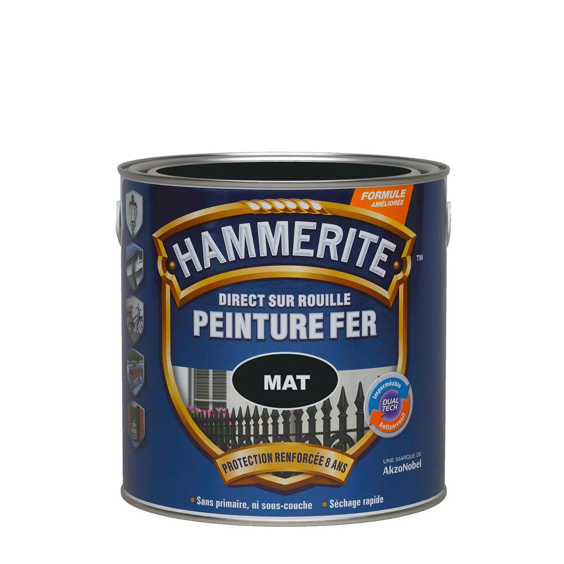 Peinture Direct sur Rouille Mat