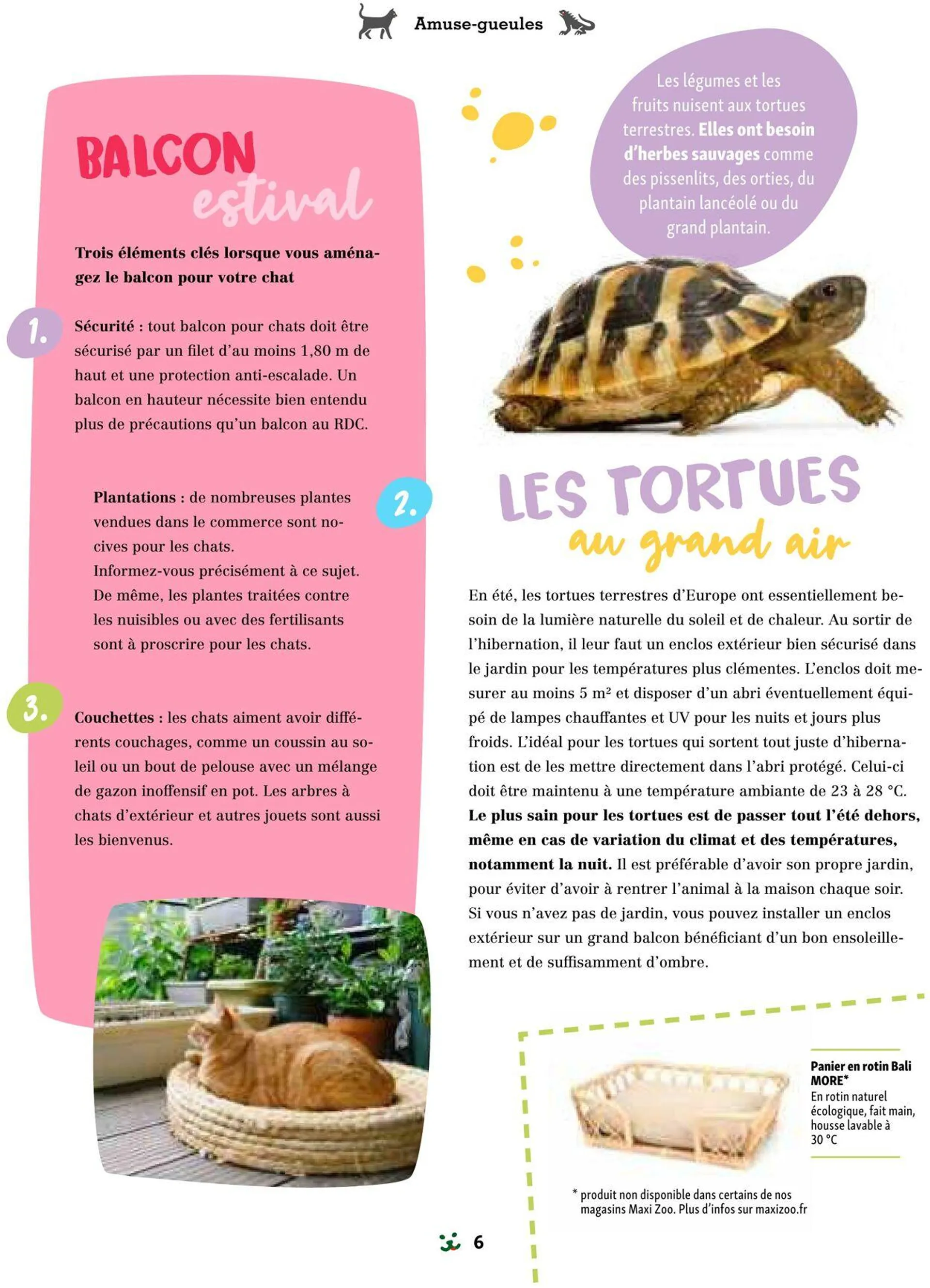 Maxi ZOO Catalogue actuel du 1 mai au 15 mai 2024 - Catalogue page 6