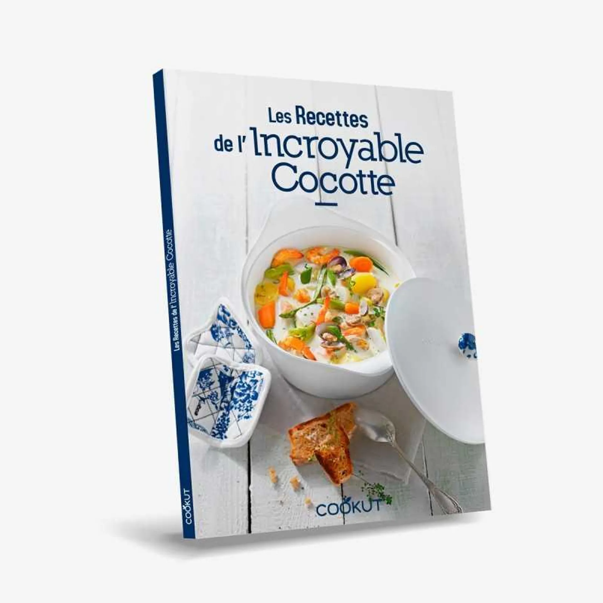 INCROYABLE livre de recettes