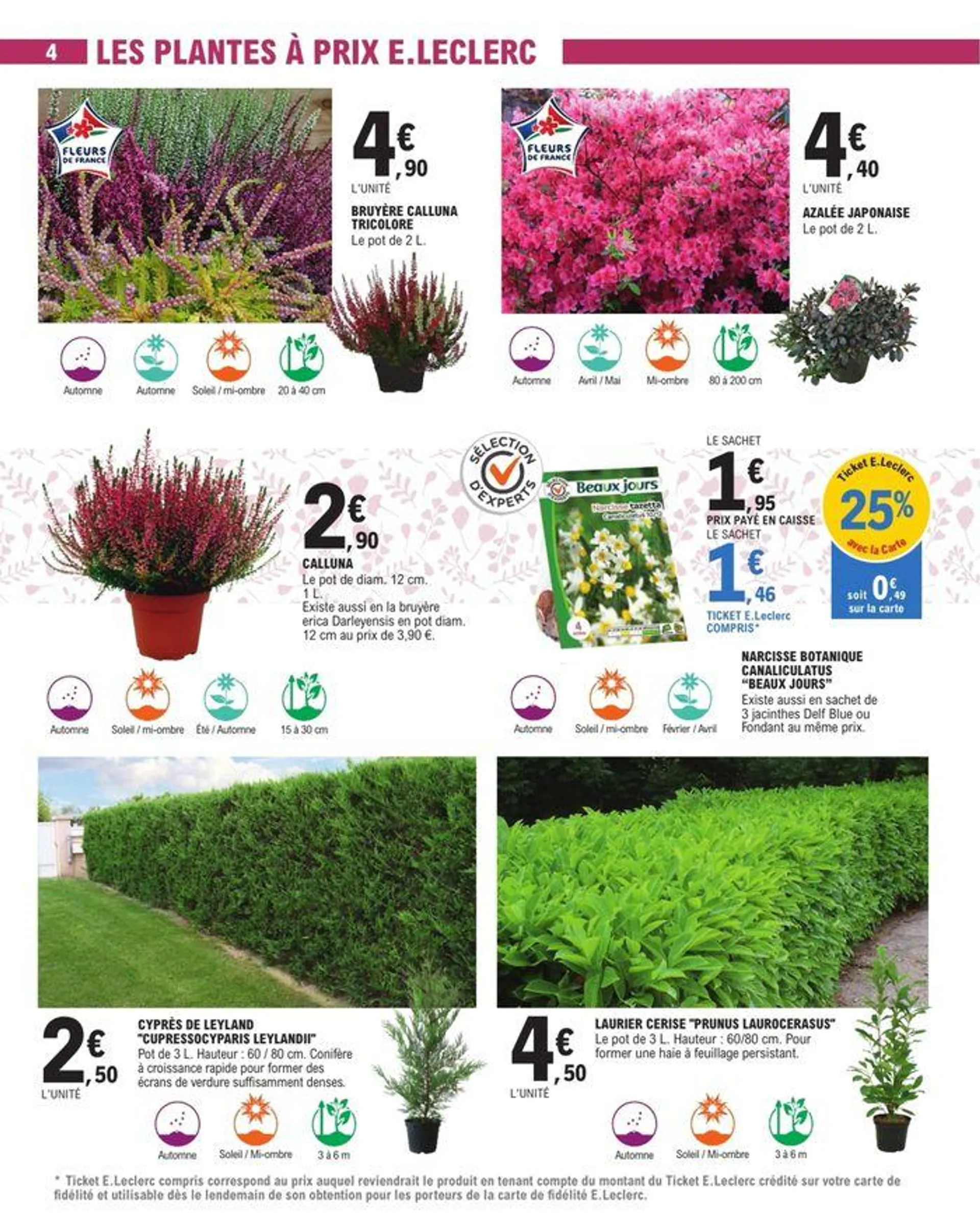 Spécial Brico Jardi du 24 septembre au 5 octobre 2024 - Catalogue page 14