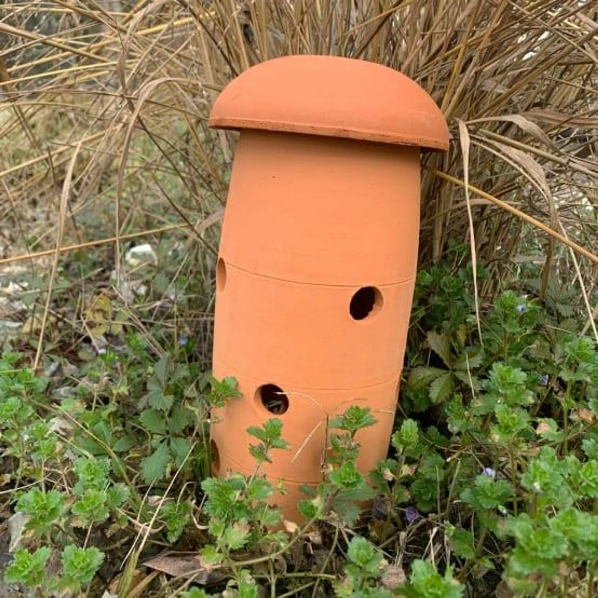 Lombricomposteur à enterrer - 1,8 L - Poterie JAMET