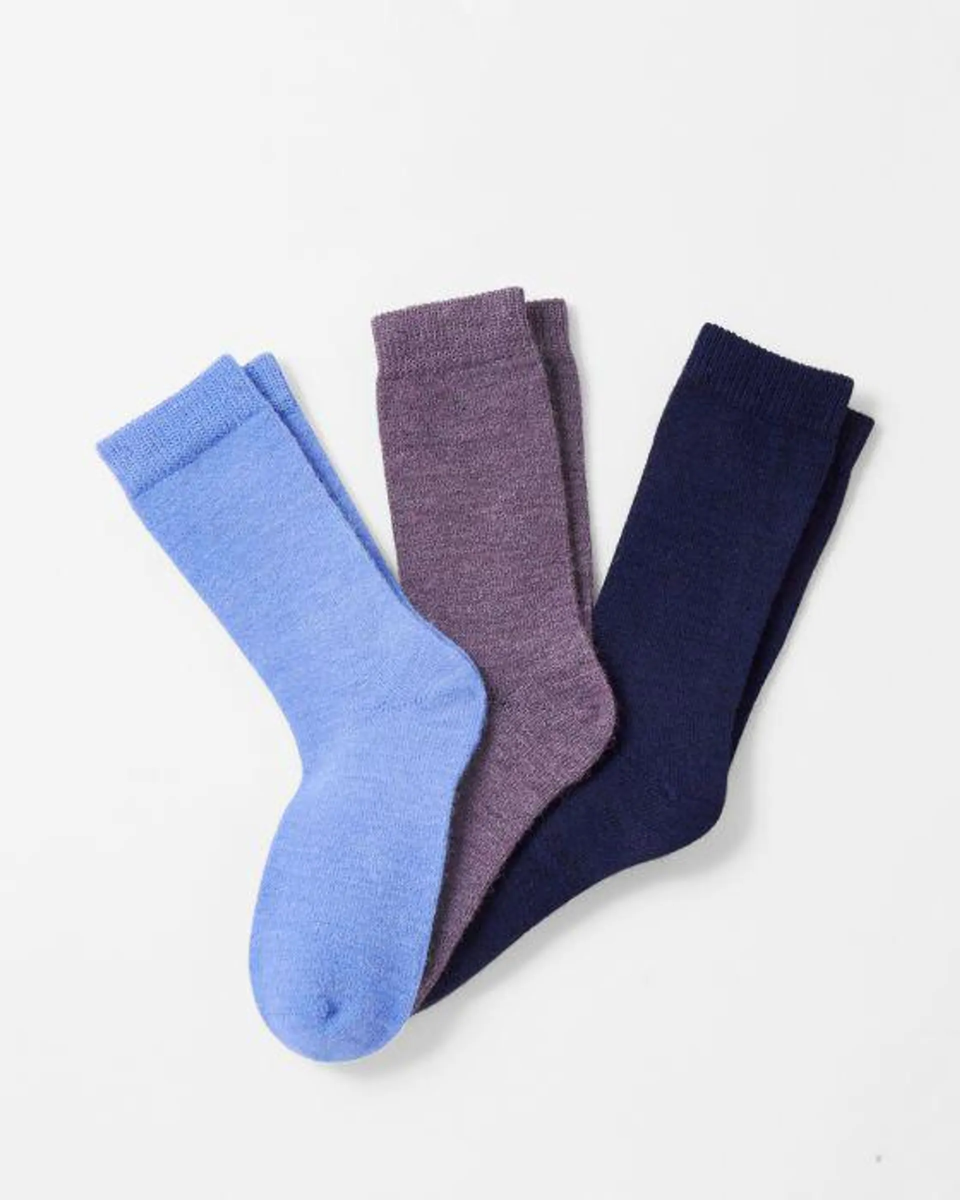 Lot de 3 paires de chaussettes unies Thermolactyl