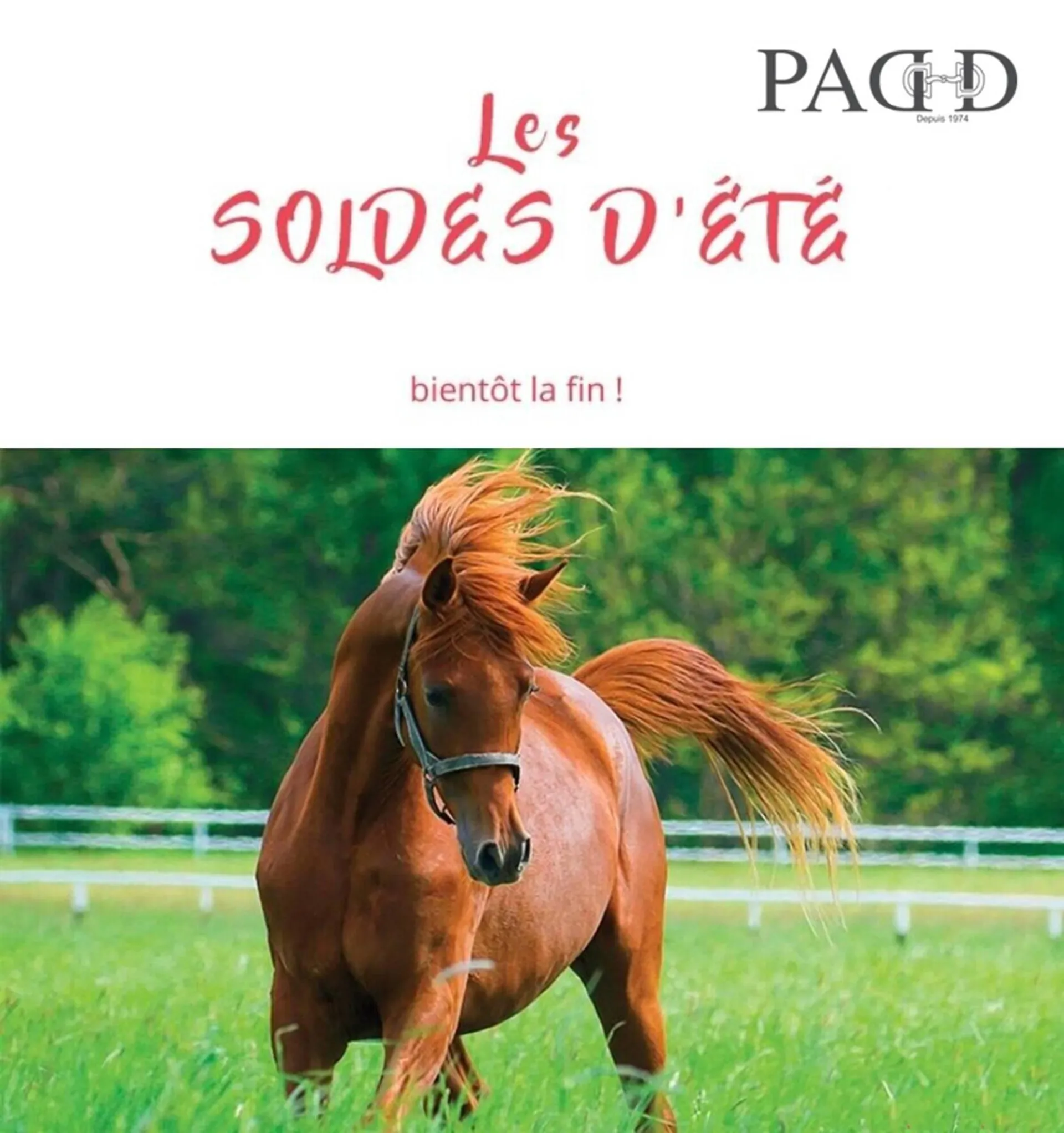 Catalogue Padd - 1