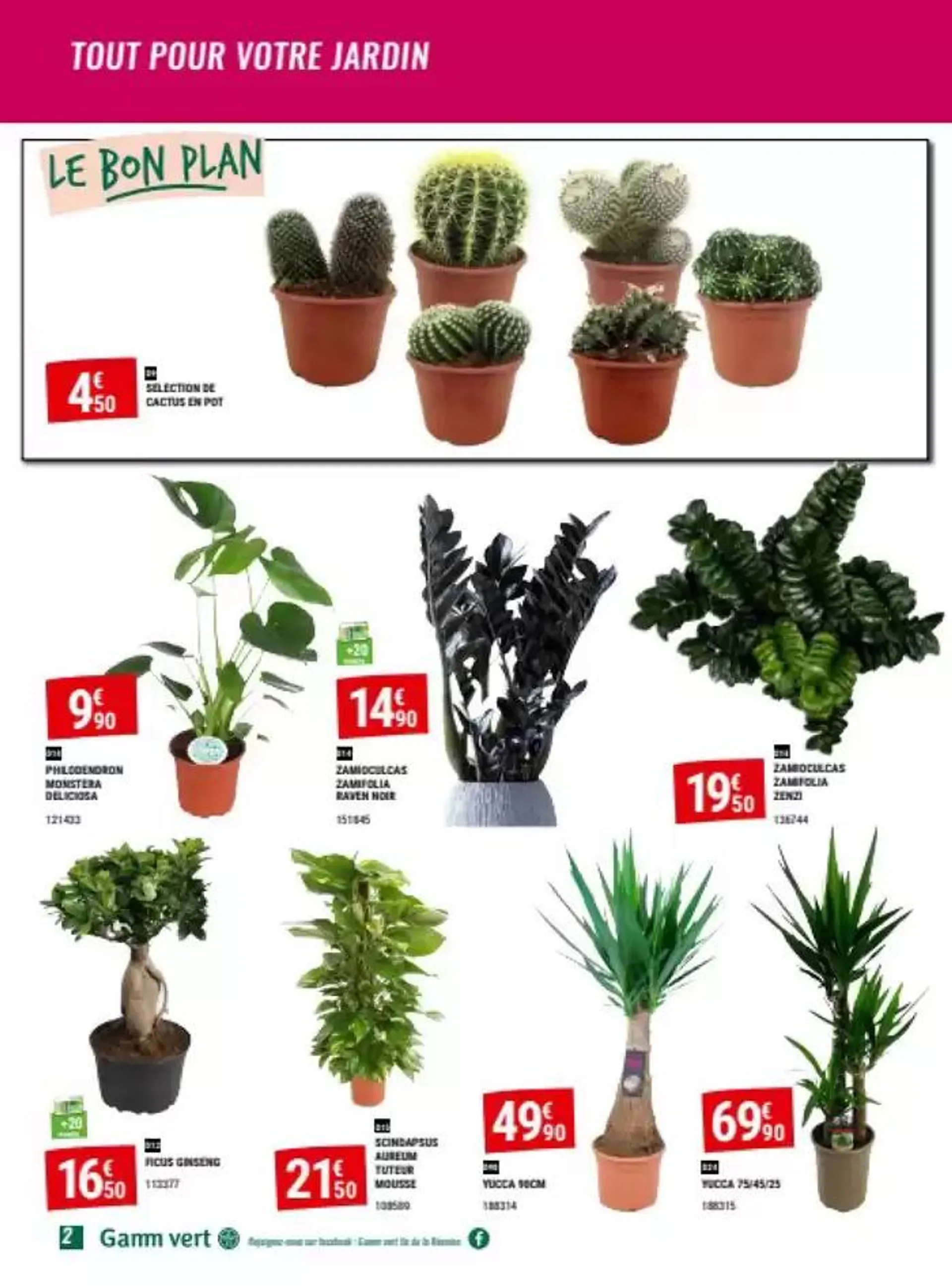 Tout pour mon jardin du 30 octobre au 17 novembre 2024 - Catalogue page 2