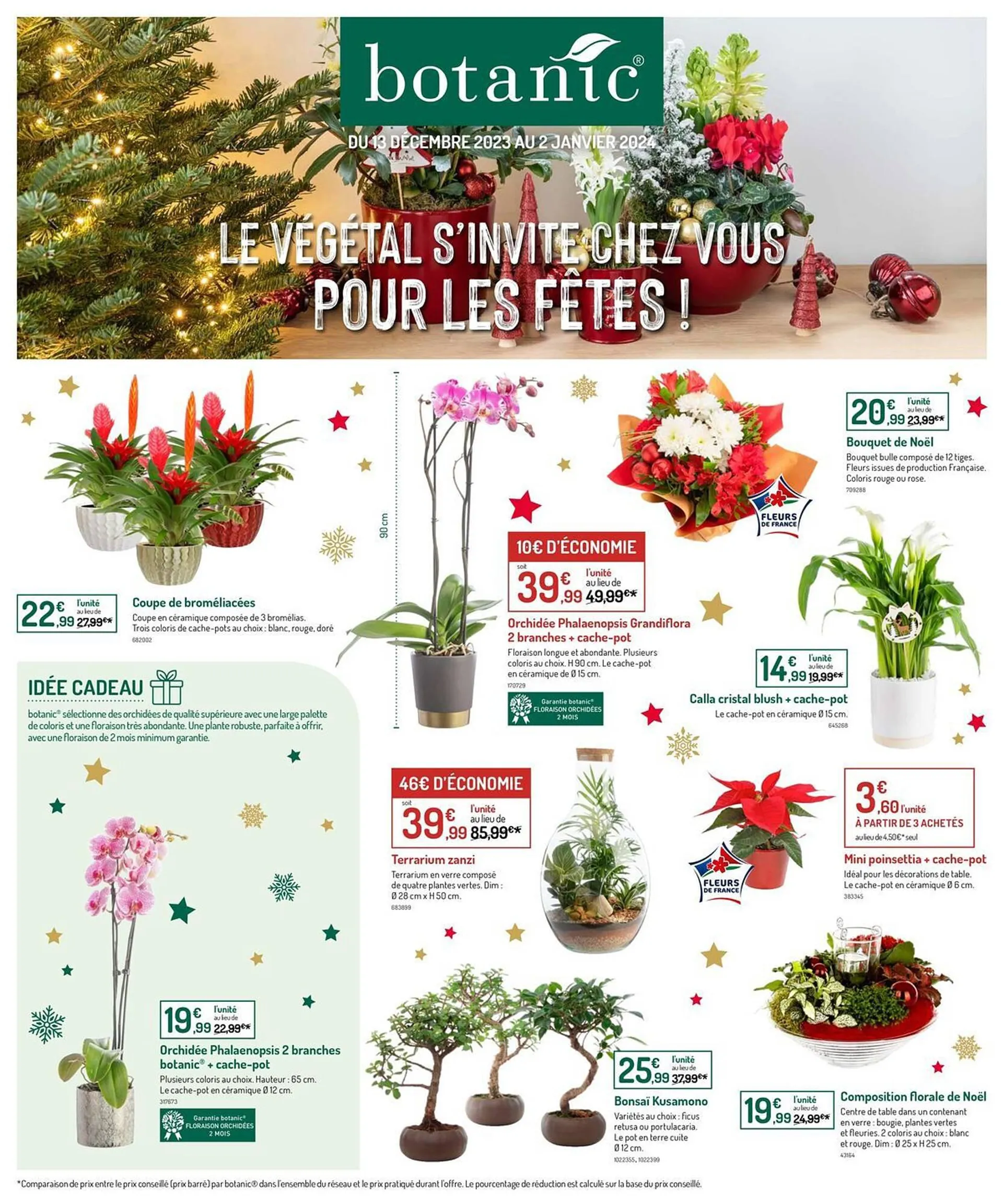 Catalogue Botanic du 14 décembre au 2 janvier 2024 - Catalogue page 