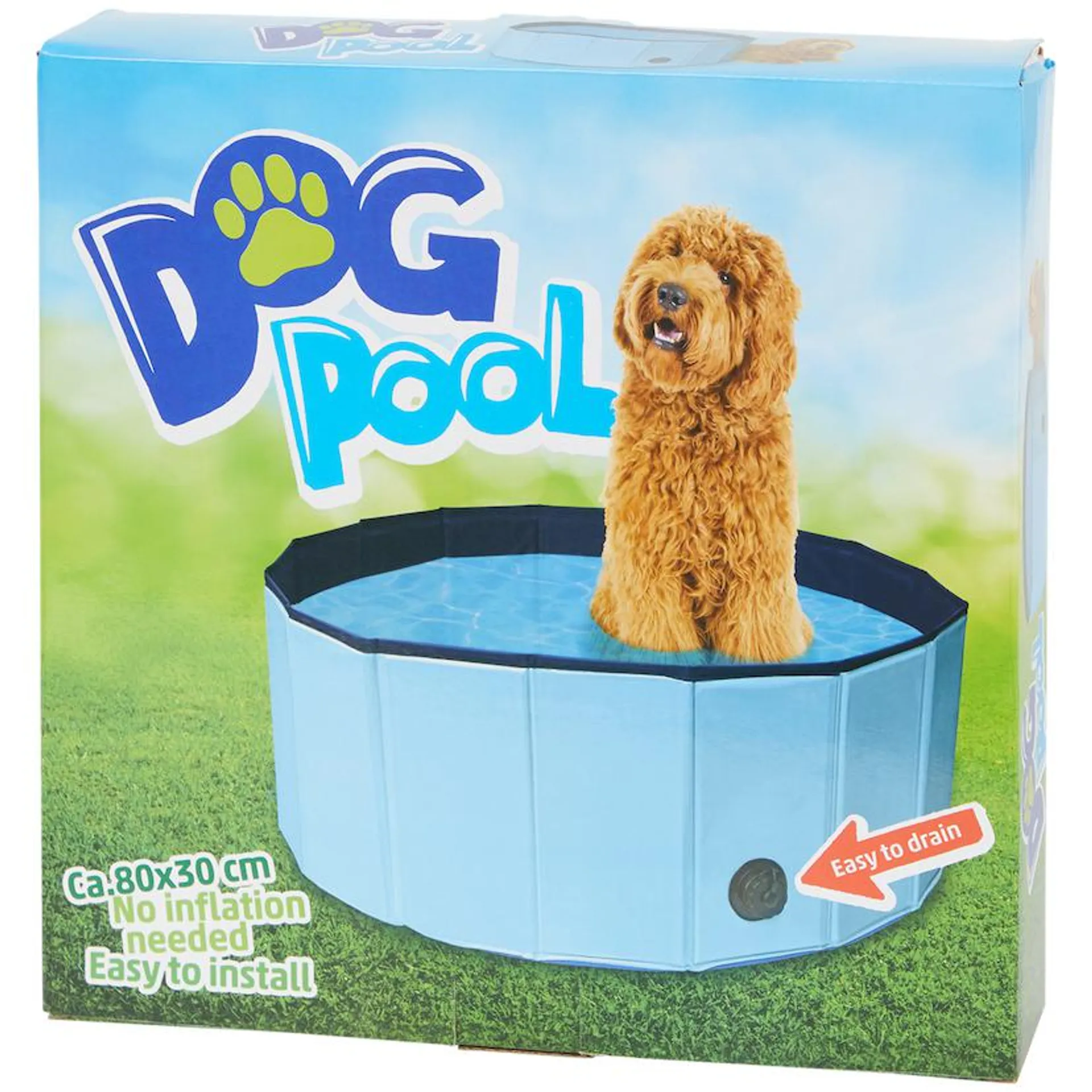 Piscine pour chien