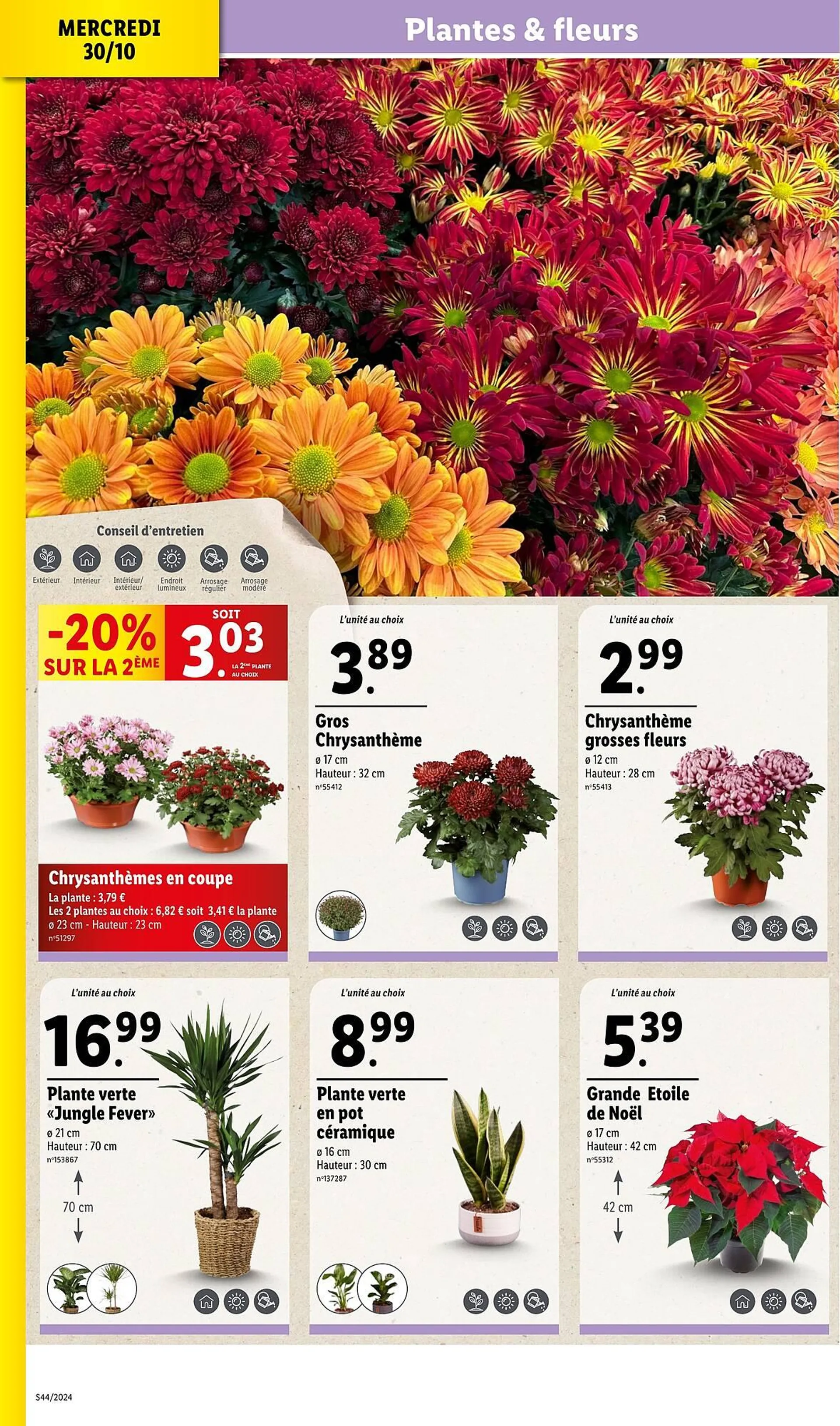 Catalogue Lidl du 30 octobre au 5 novembre 2024 - Catalogue page 6