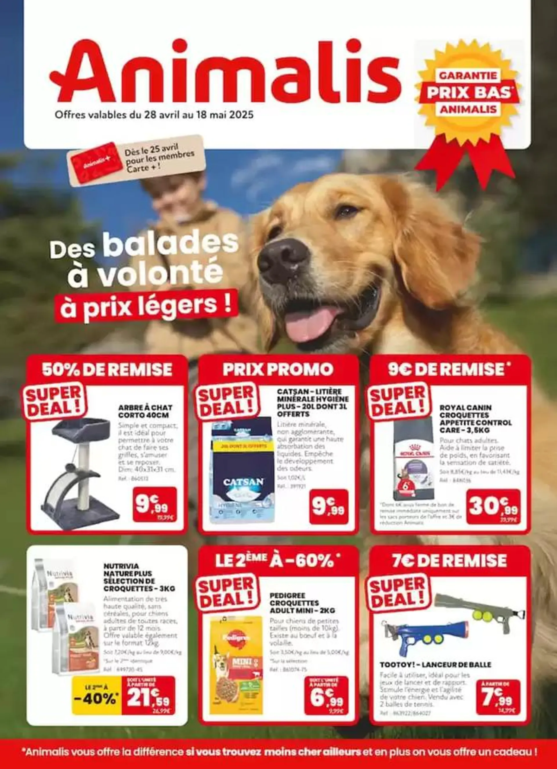 Des balades à volonté à prix légers ! - 1
