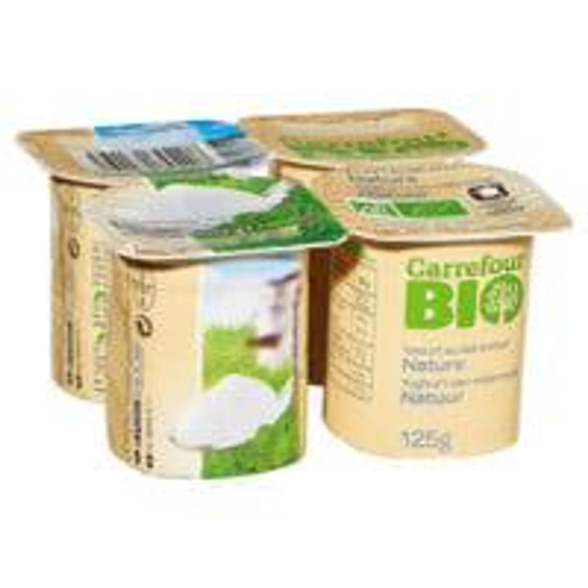 Yaourt nature Bio CARREFOUR BIO