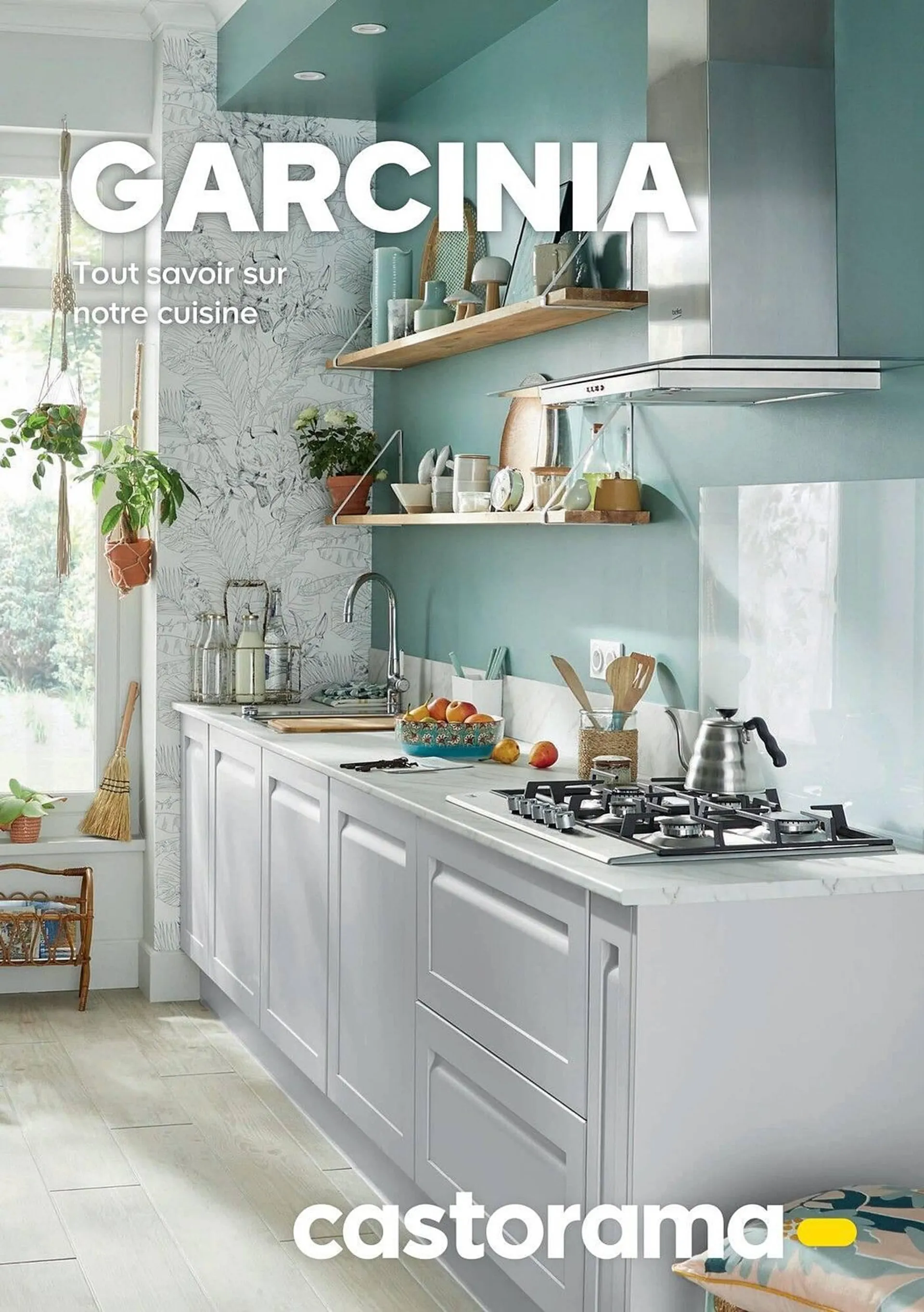 Catalogue Castorama - Garcinia - 1